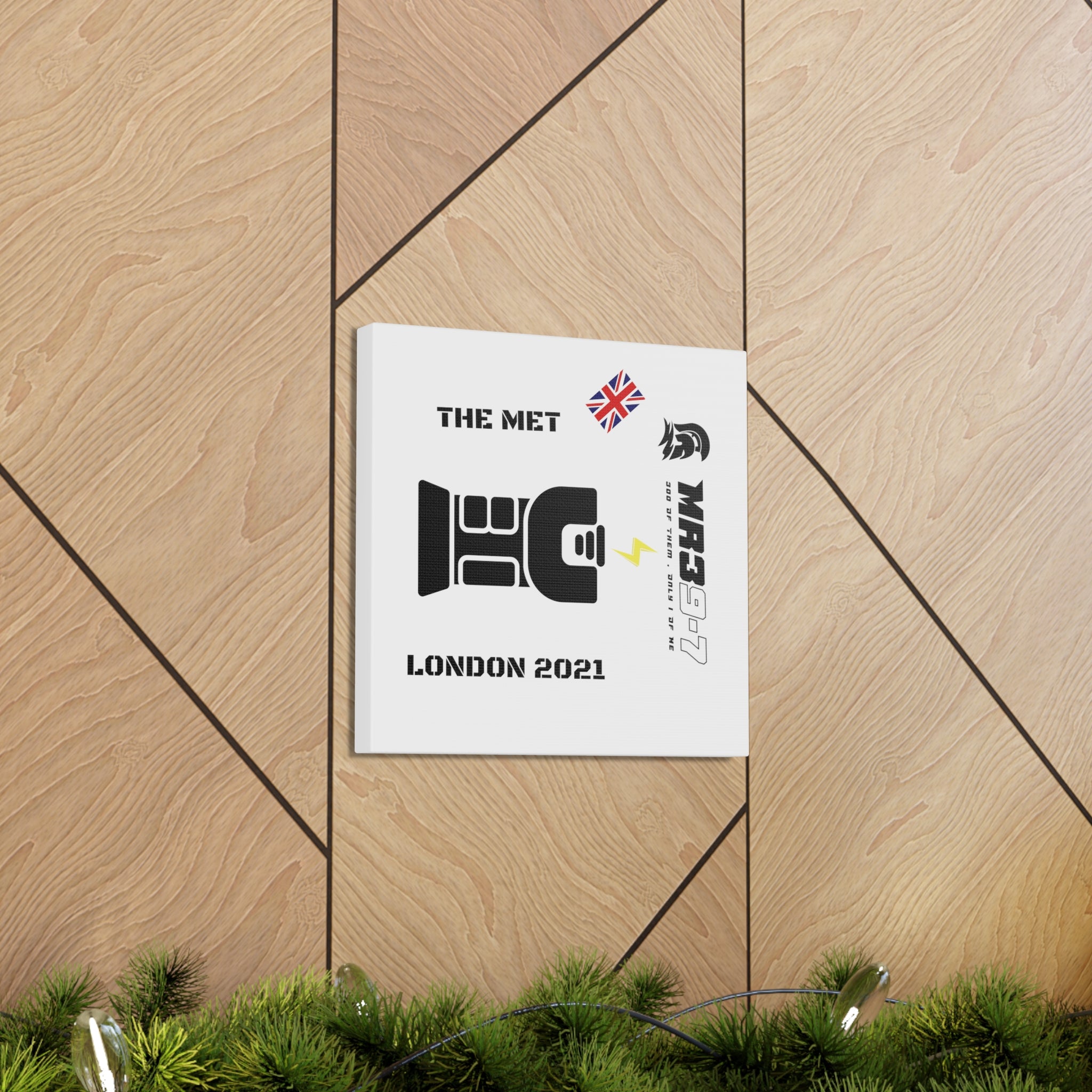 Copy of Canvas Gallery Wraps MR 39 Tasered by The MET 2021