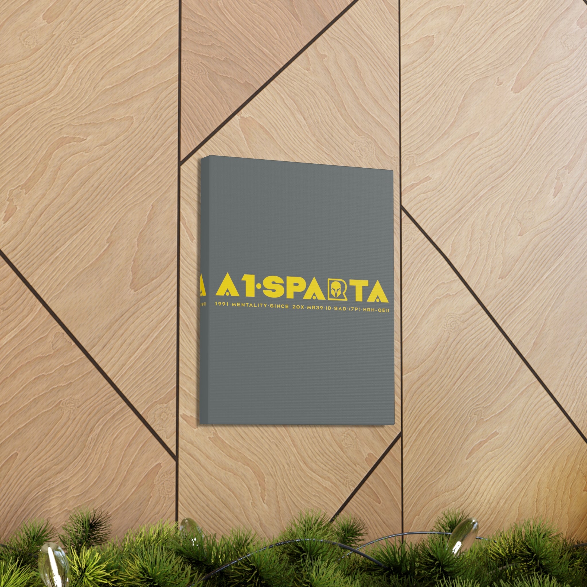 Canvas Gallery Wraps (A1•SPARTA RANGE)