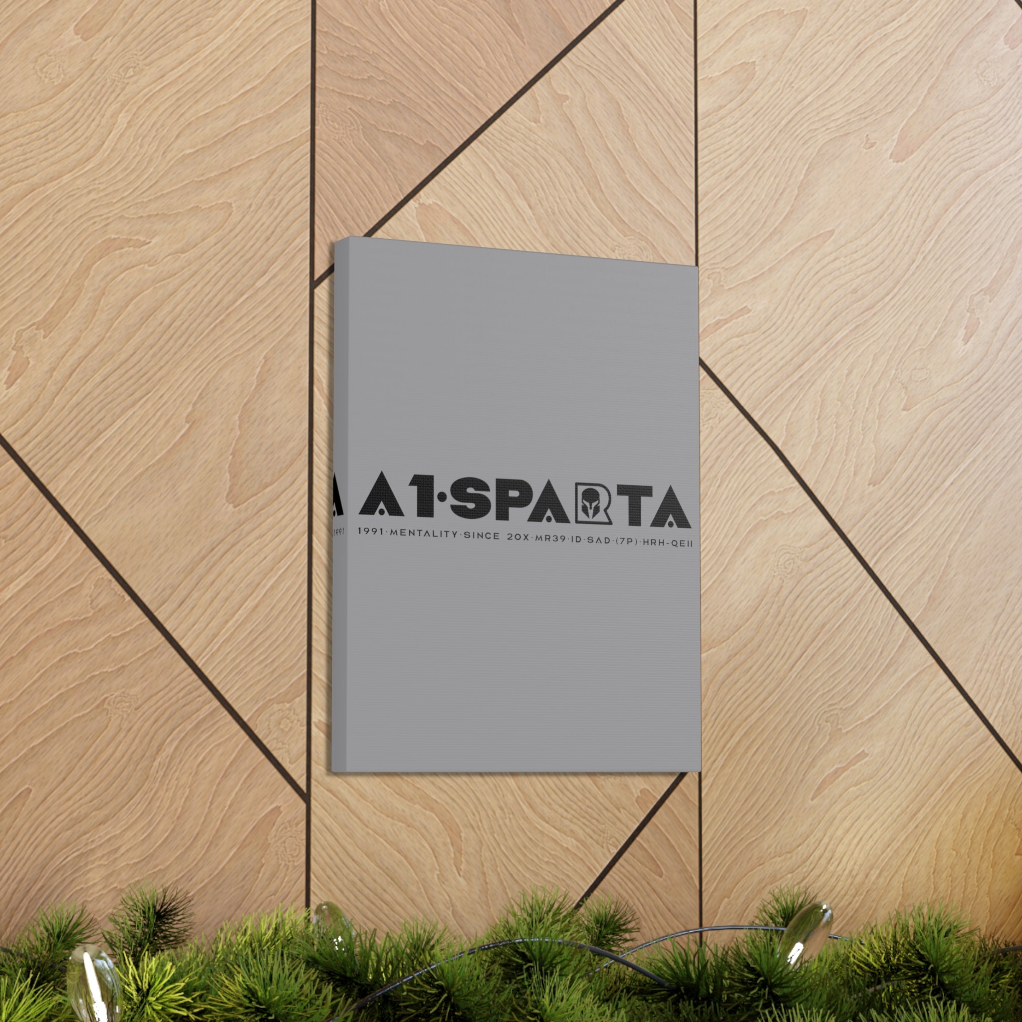 Canvas Gallery Wraps (A1•SPARTA RANGE)