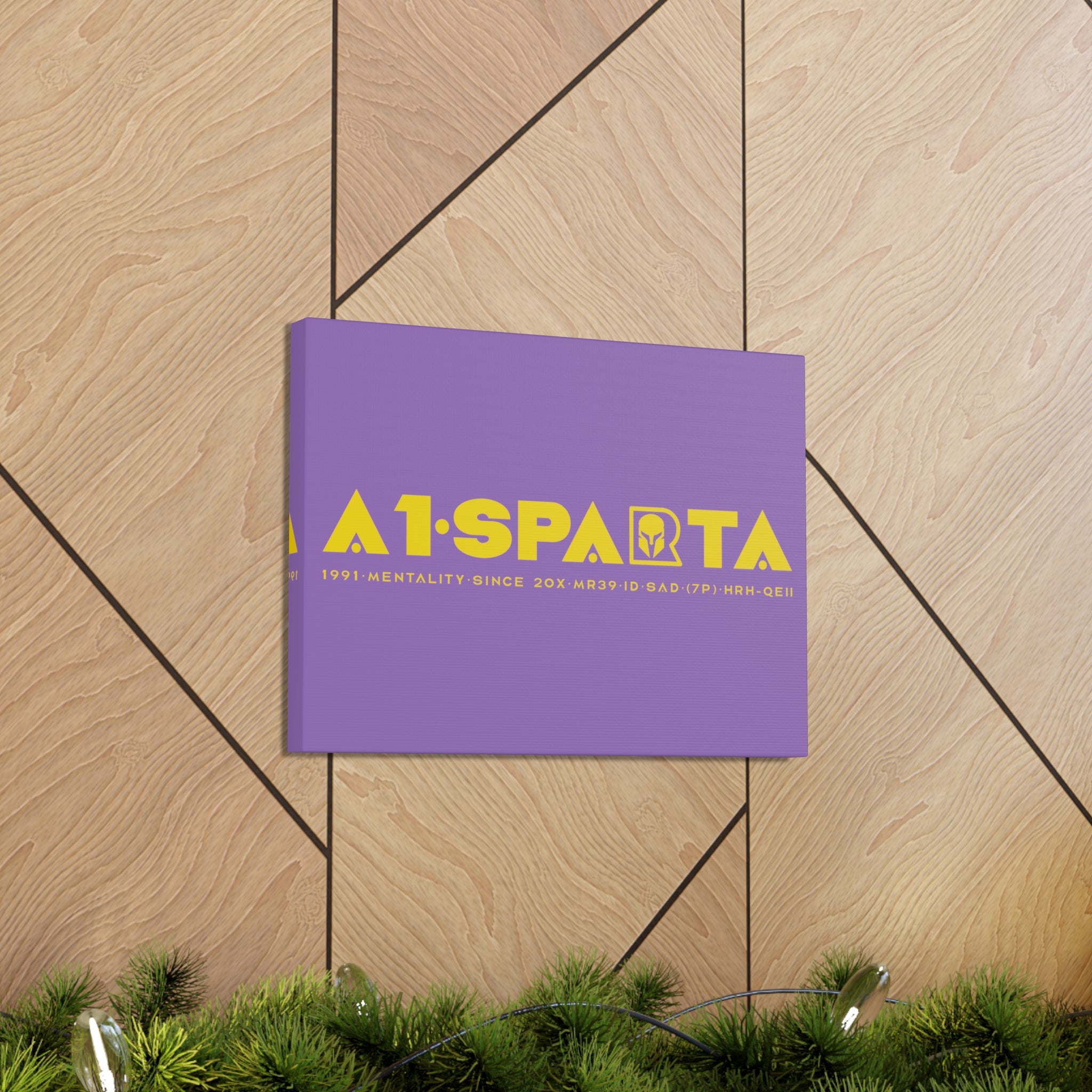 Canvas Gallery Wraps (A1•SPARTA RANGE)