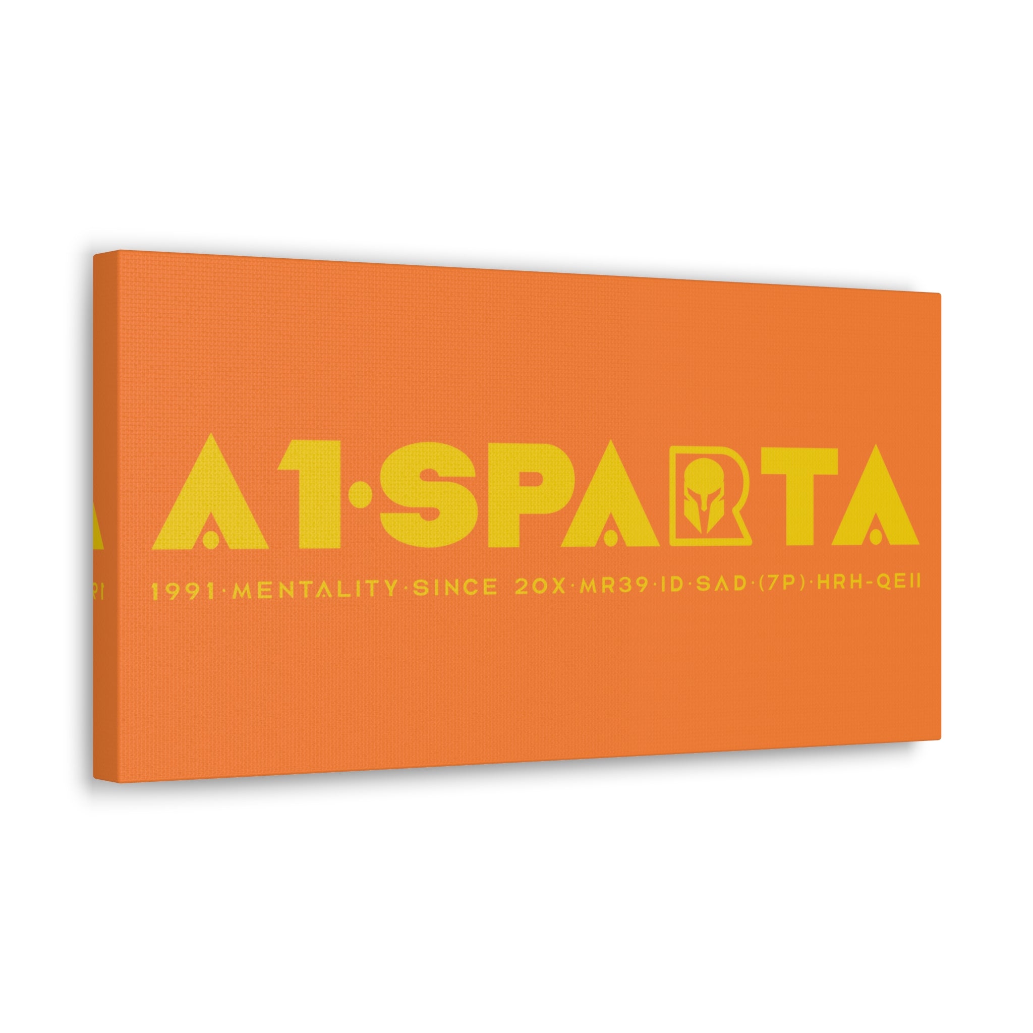 Canvas Gallery Wraps (A1•SPARTA RANGE)