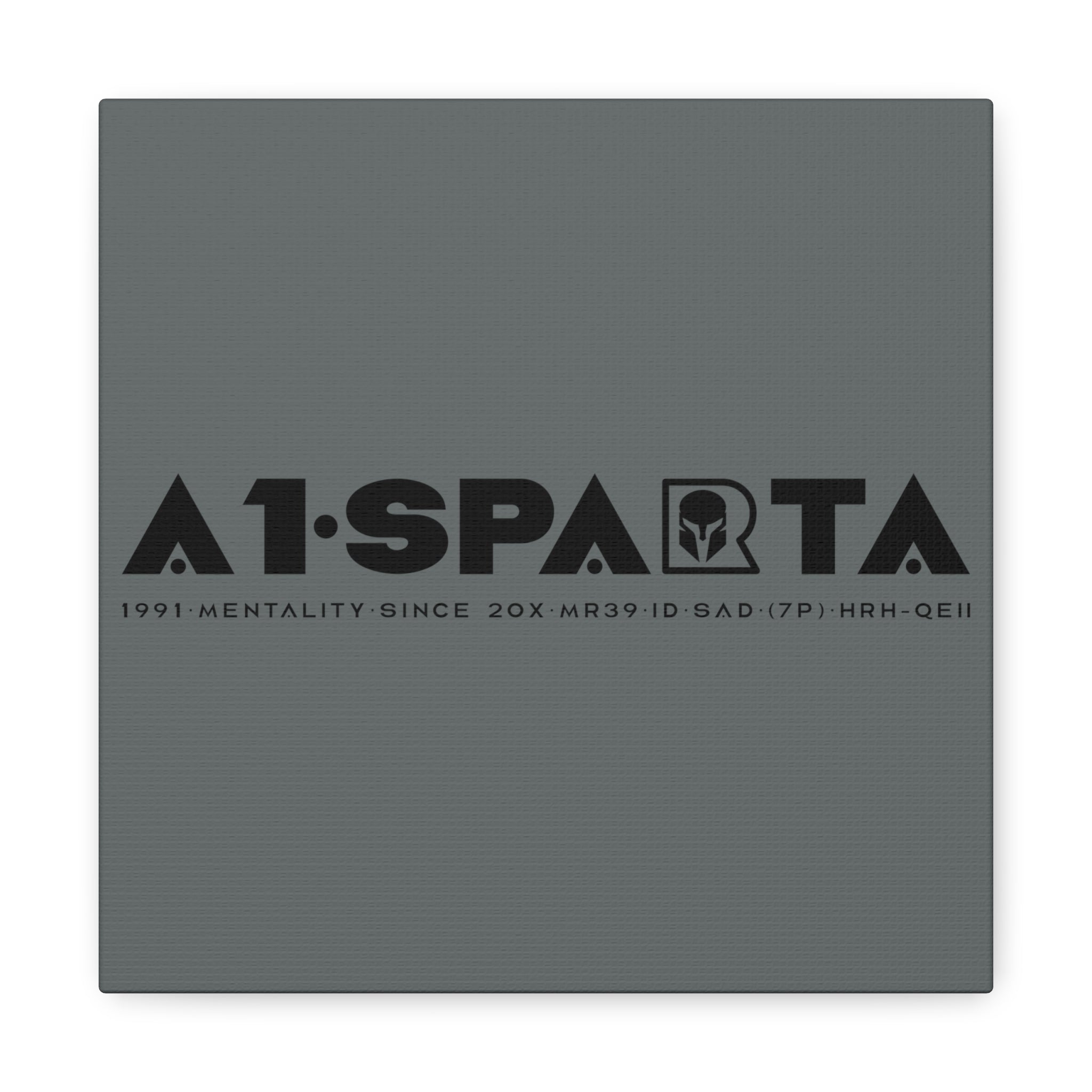 Canvas Gallery Wraps (A1•SPARTA RANGE)