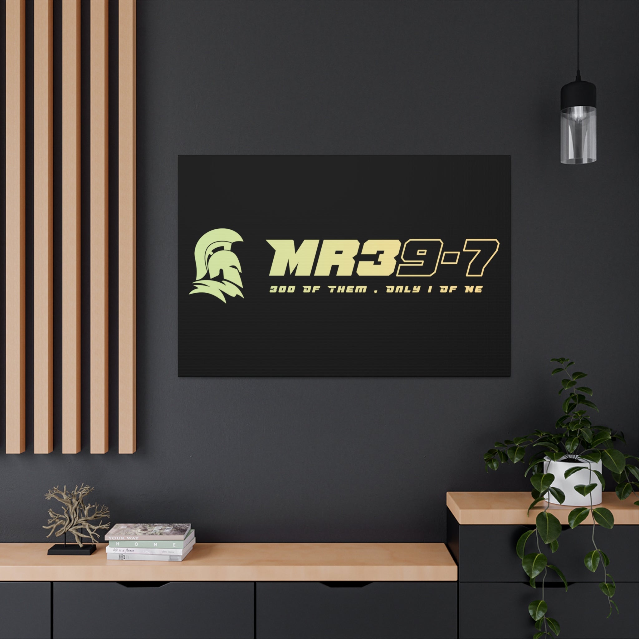 Canvas Gallery Wraps (A1•SPARTA RANGE)