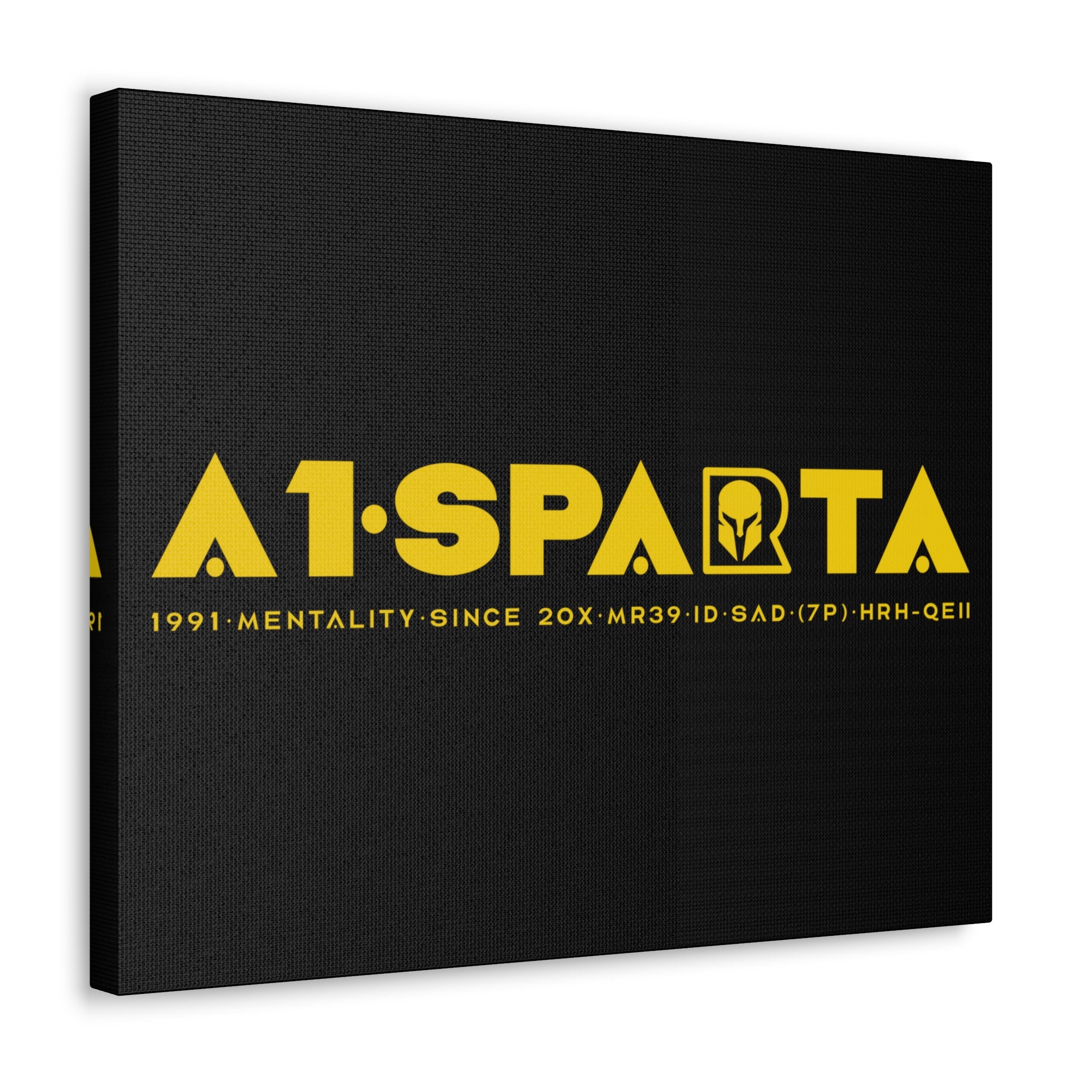 Canvas Gallery Wraps (A1•SPARTA RANGE)