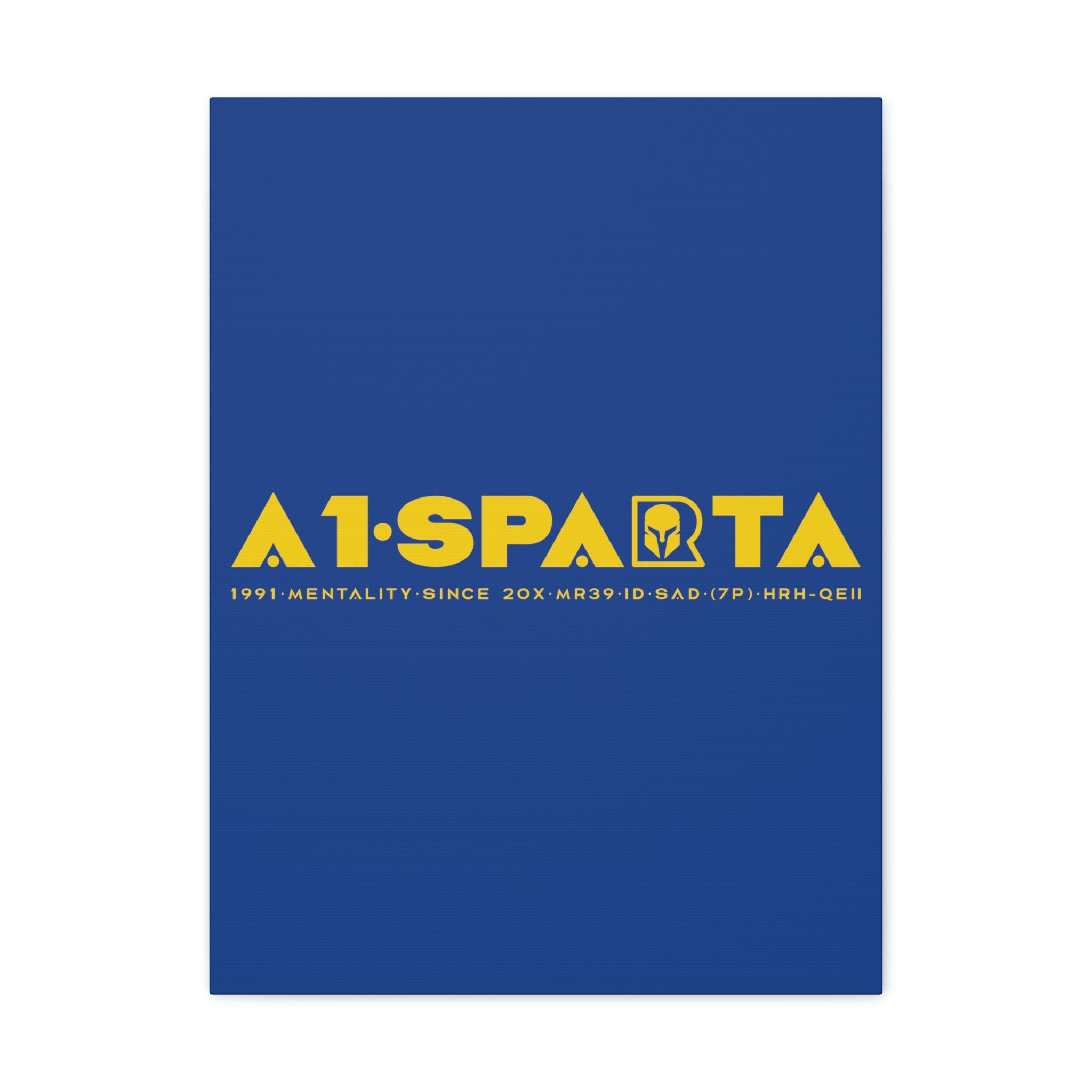 Canvas Gallery Wraps (A1•SPARTA RANGE)