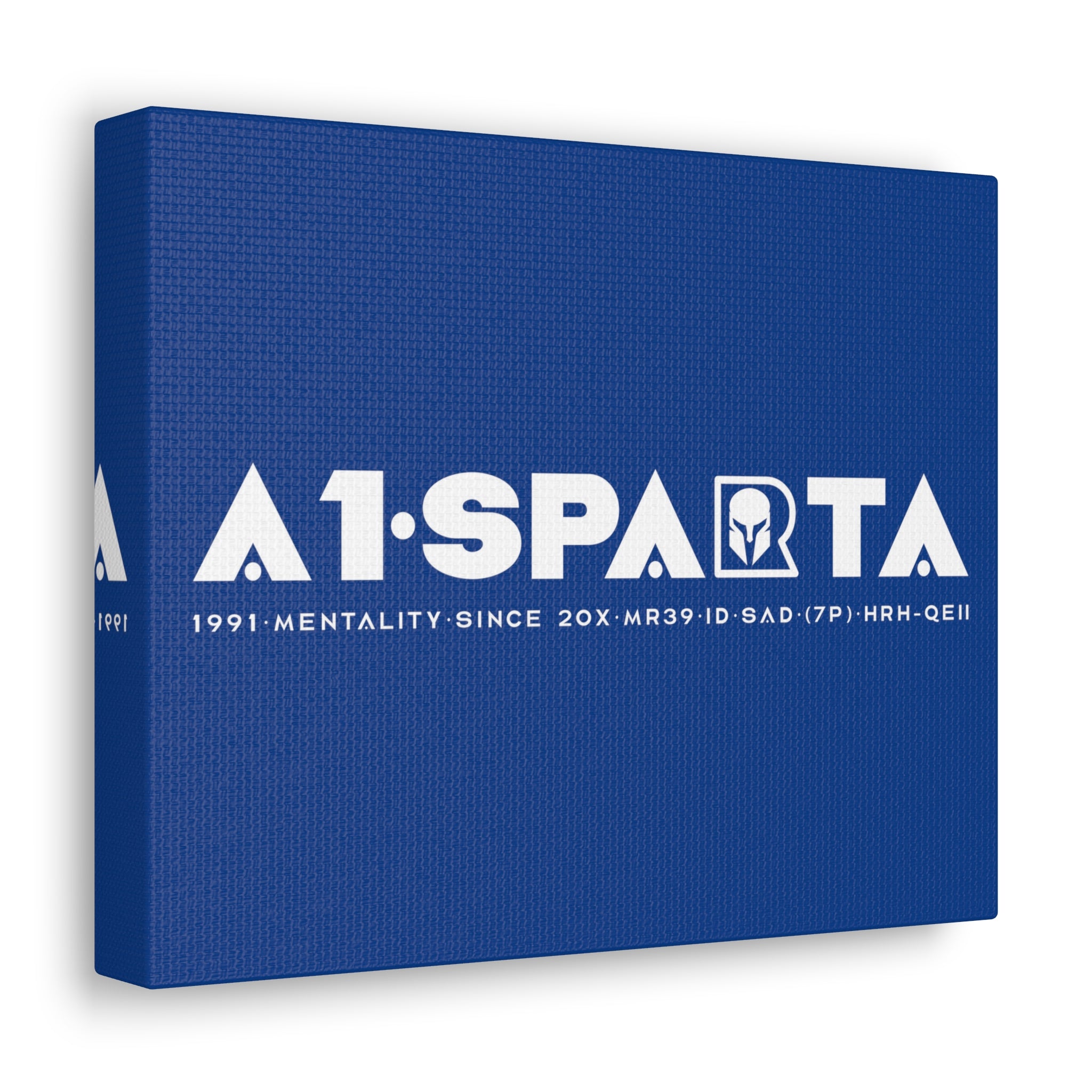 Canvas Gallery Wraps (A1•SPARTA RANGE)