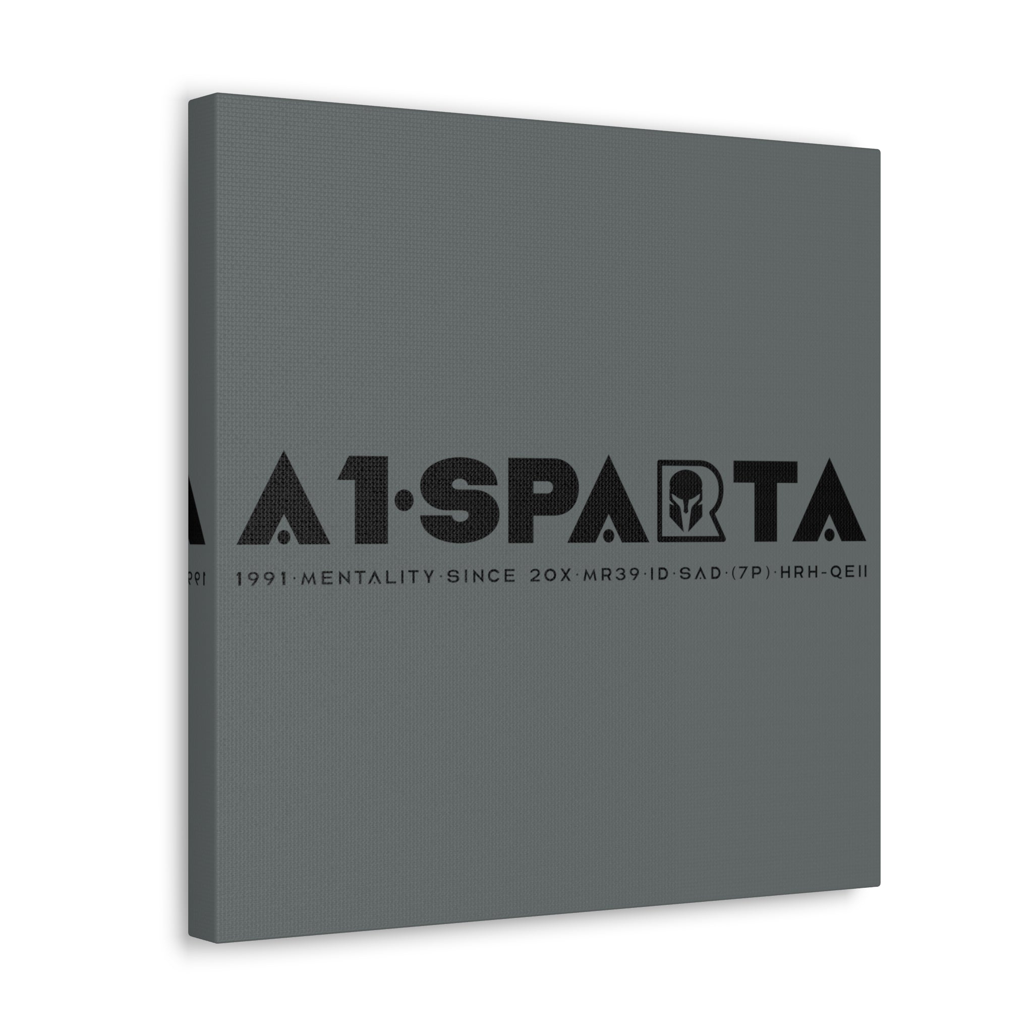 Canvas Gallery Wraps (A1•SPARTA RANGE)