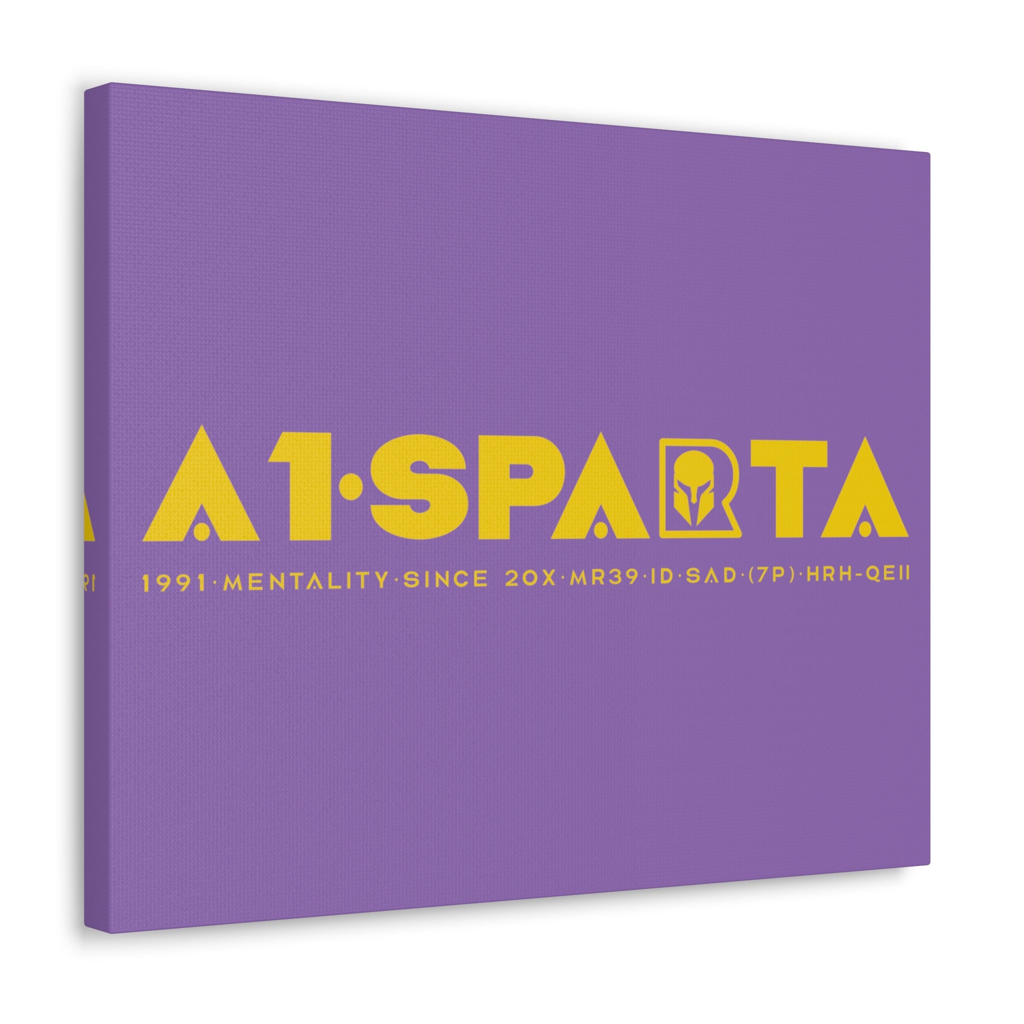 Canvas Gallery Wraps (A1•SPARTA RANGE)
