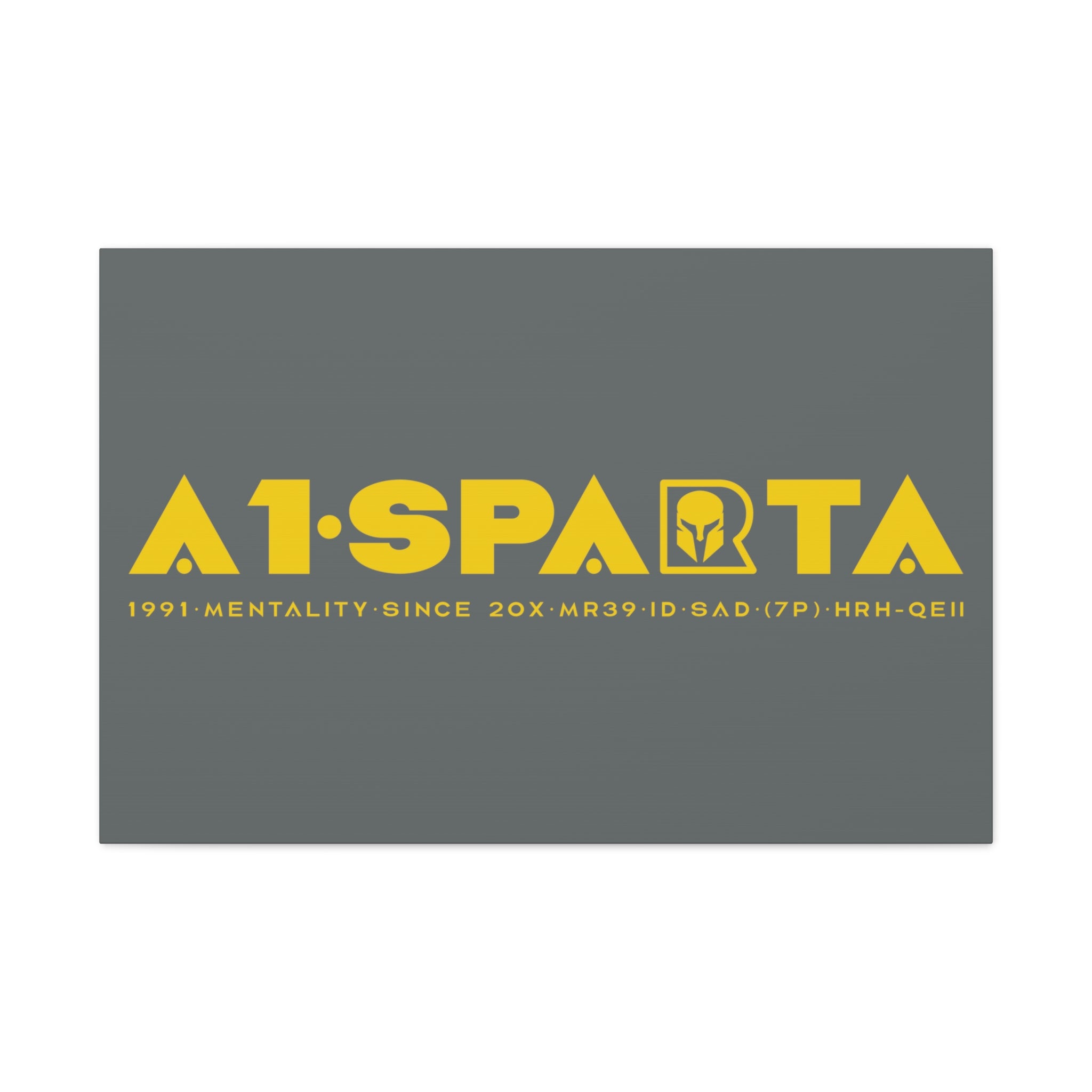 Canvas Gallery Wraps (A1•SPARTA RANGE)