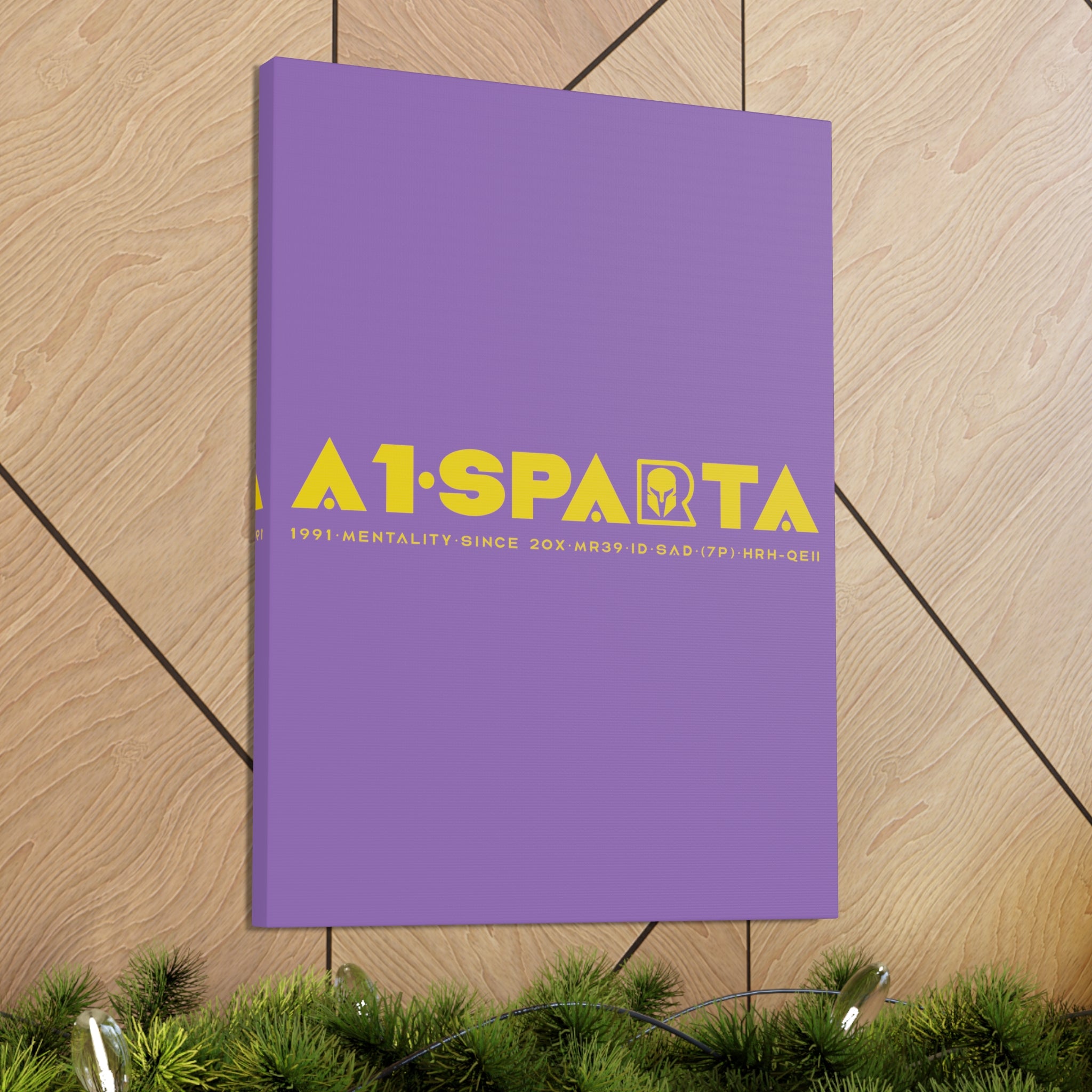Canvas Gallery Wraps (A1•SPARTA RANGE)