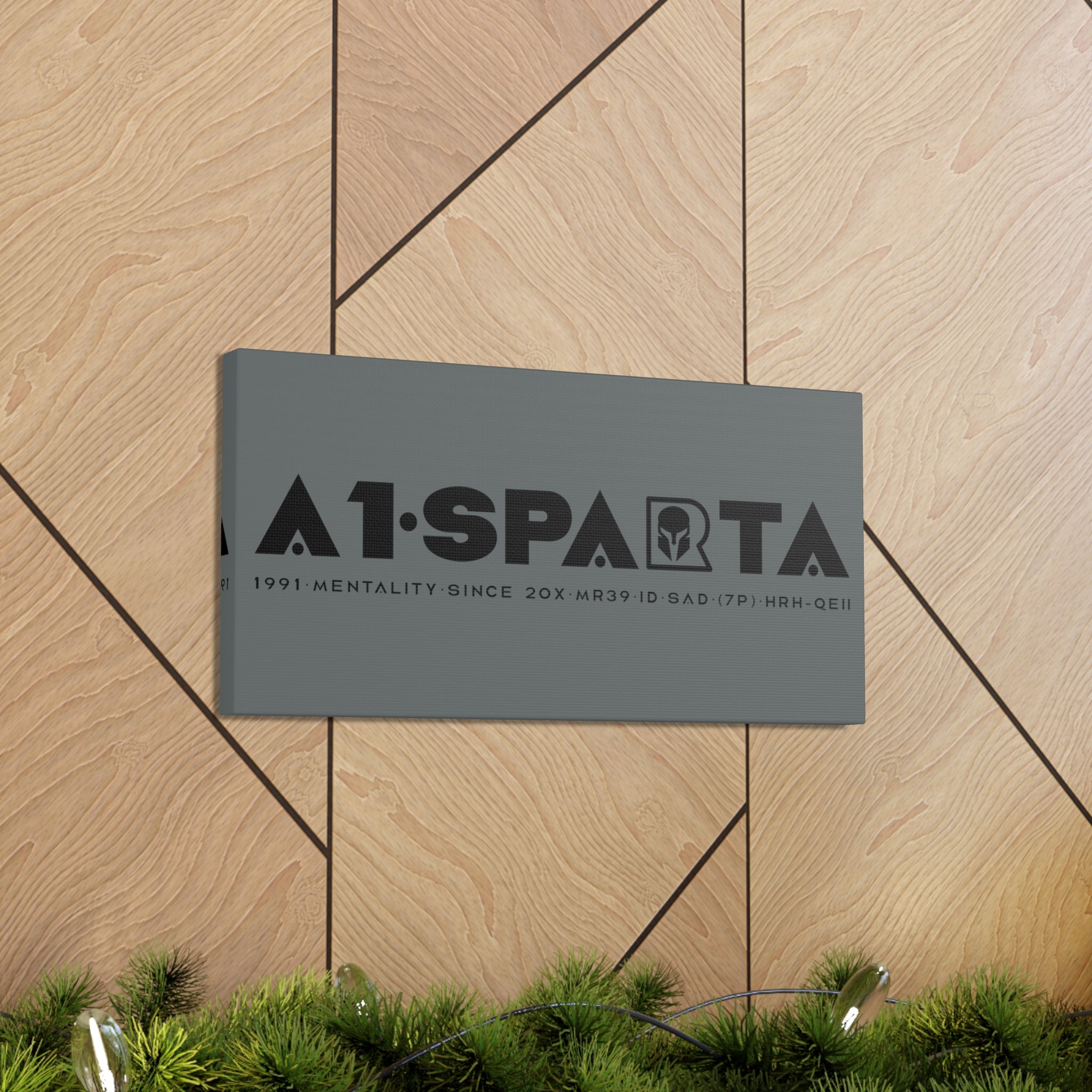 Canvas Gallery Wraps (A1•SPARTA RANGE)