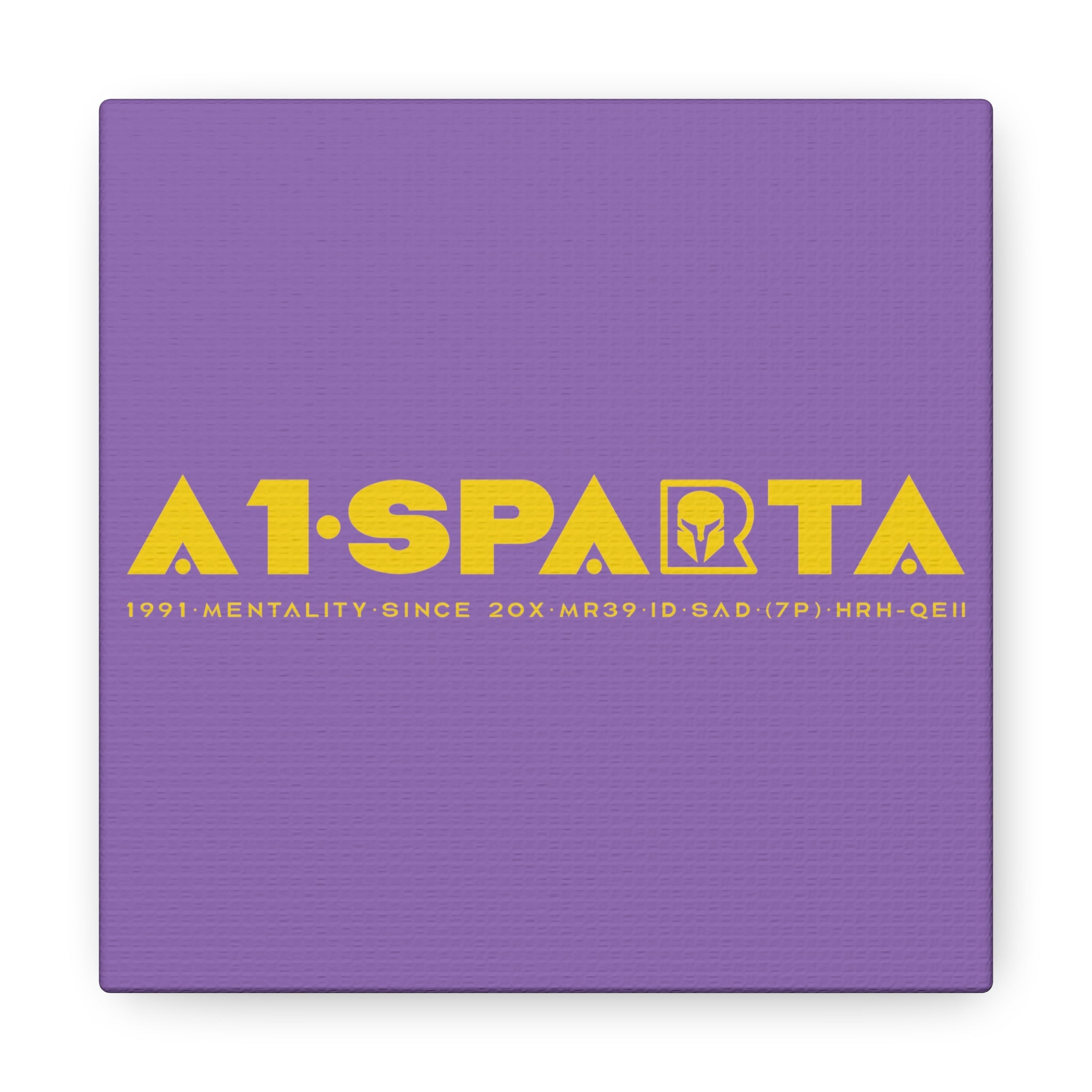 Canvas Gallery Wraps (A1•SPARTA RANGE)