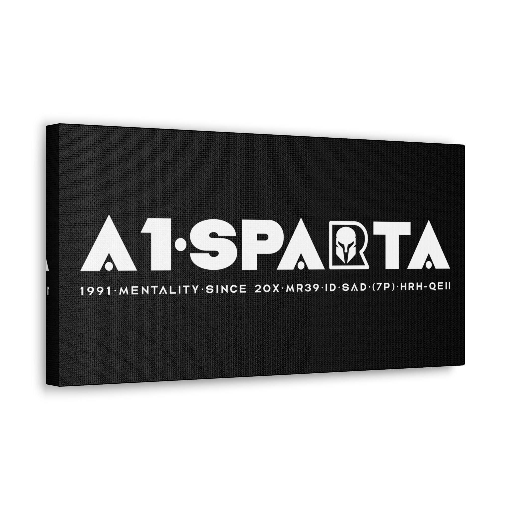 Canvas Gallery Wraps (A1•SPARTA RANGE)