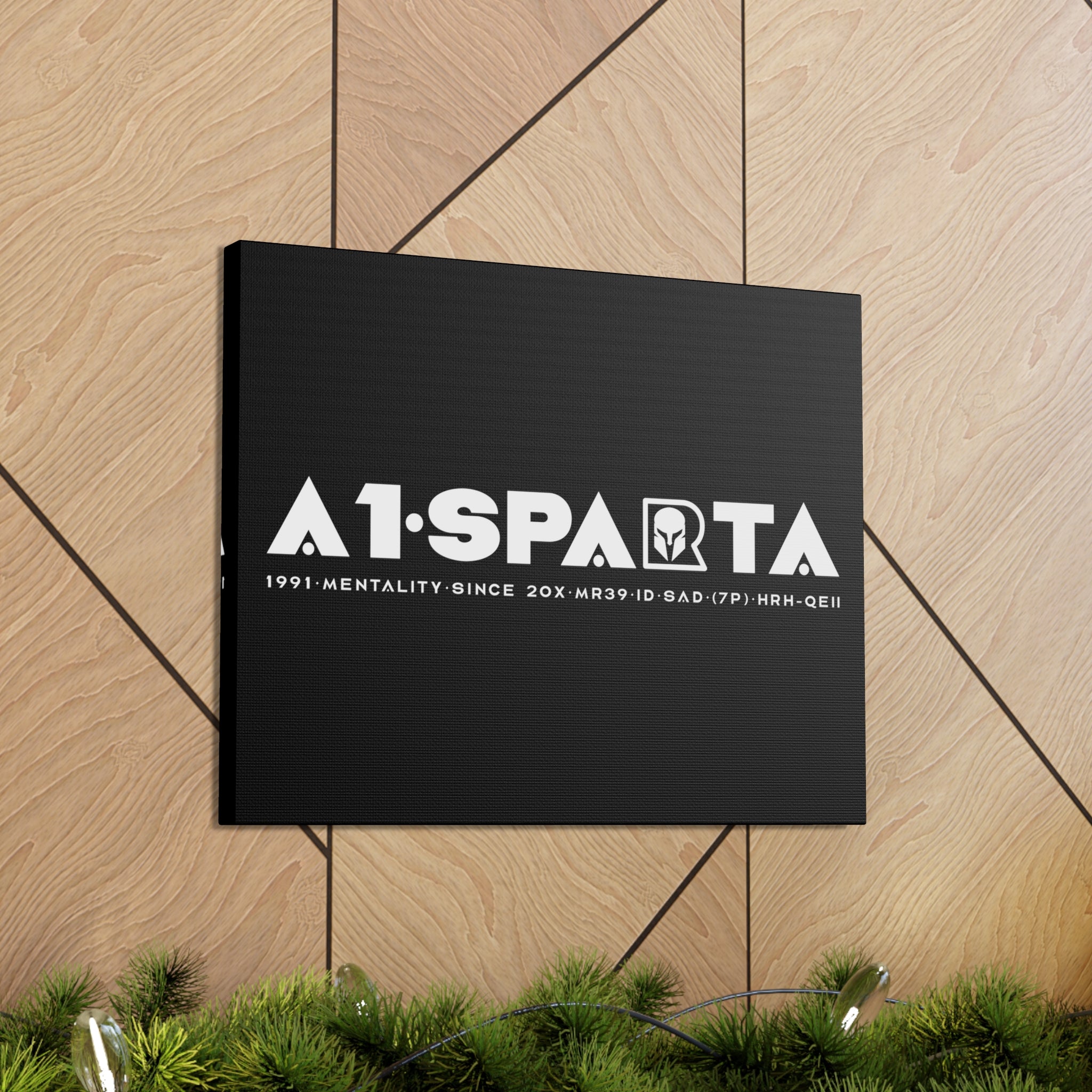 Canvas Gallery Wraps (A1•SPARTA RANGE)