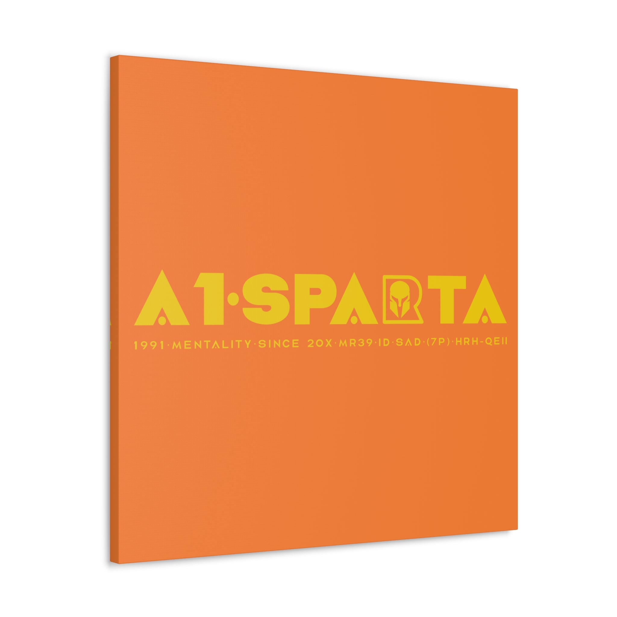 Canvas Gallery Wraps (A1•SPARTA RANGE)
