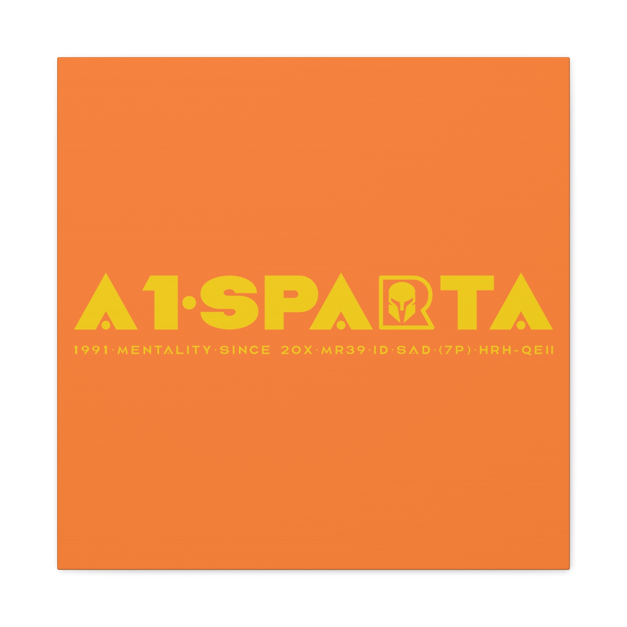 Canvas Gallery Wraps (A1•SPARTA RANGE)