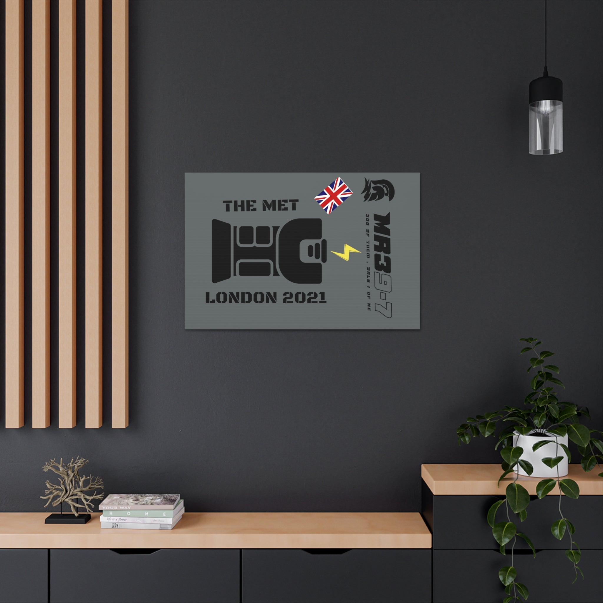 Canvas Gallery Wraps MR 39 Tasered by The MET 2021