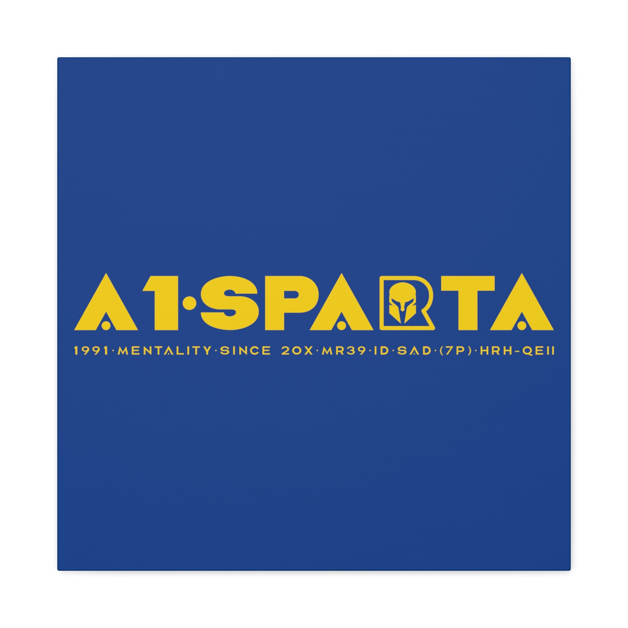 Canvas Gallery Wraps (A1•SPARTA RANGE)