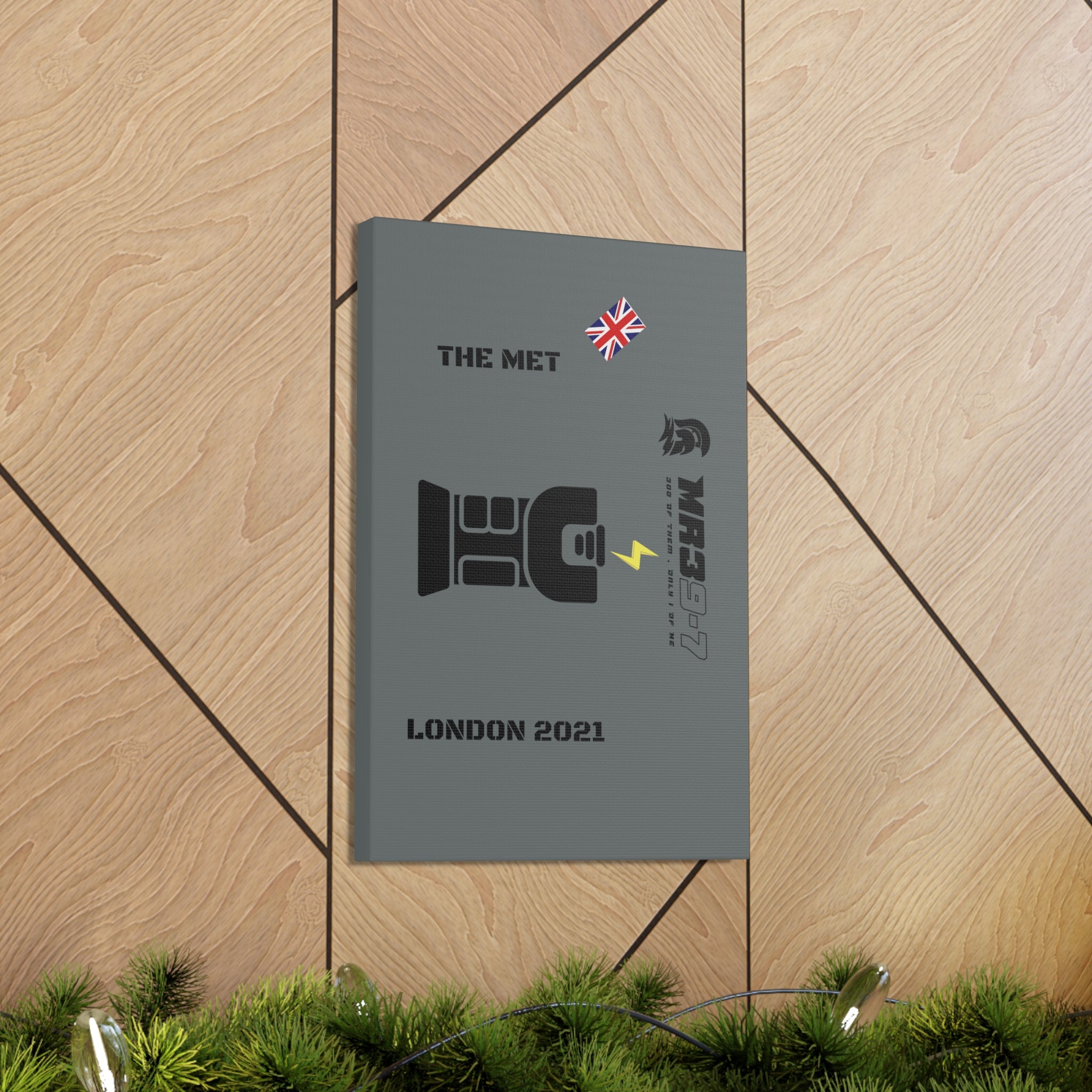 Canvas Gallery Wraps MR 39 Tasered by The MET 2021