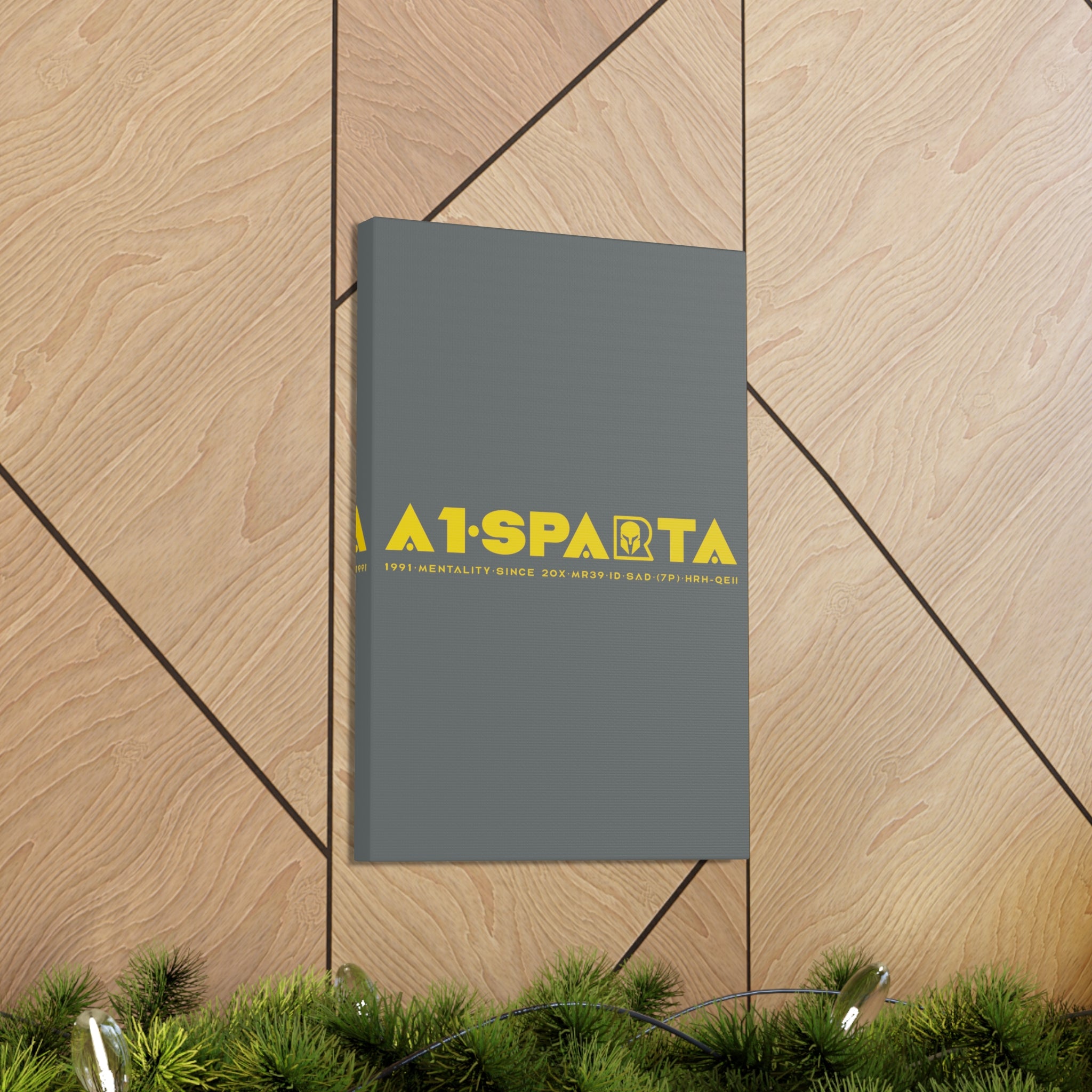 Canvas Gallery Wraps (A1•SPARTA RANGE)