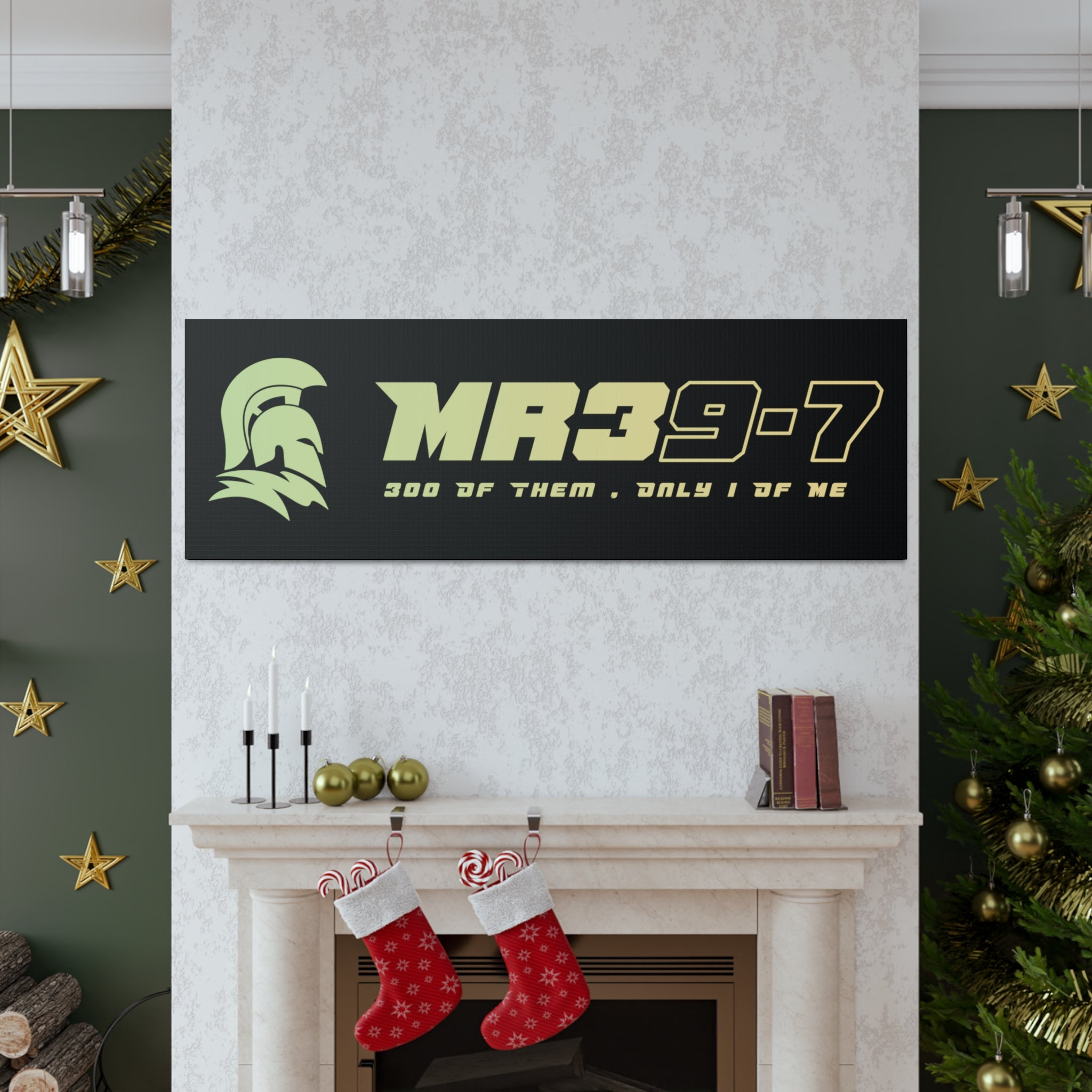 Canvas Gallery Wraps (A1•SPARTA RANGE)