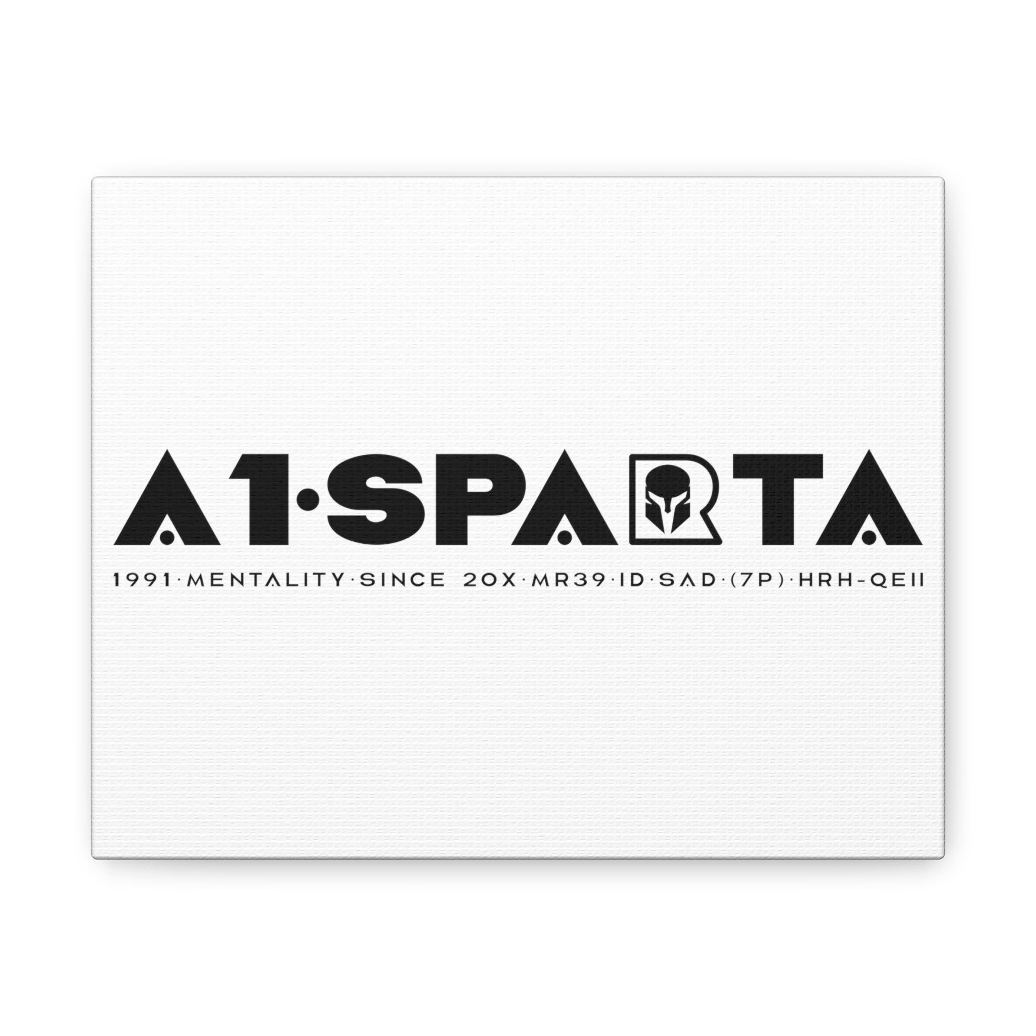 Canvas Gallery Wraps (A1•SPARTA RANGE)