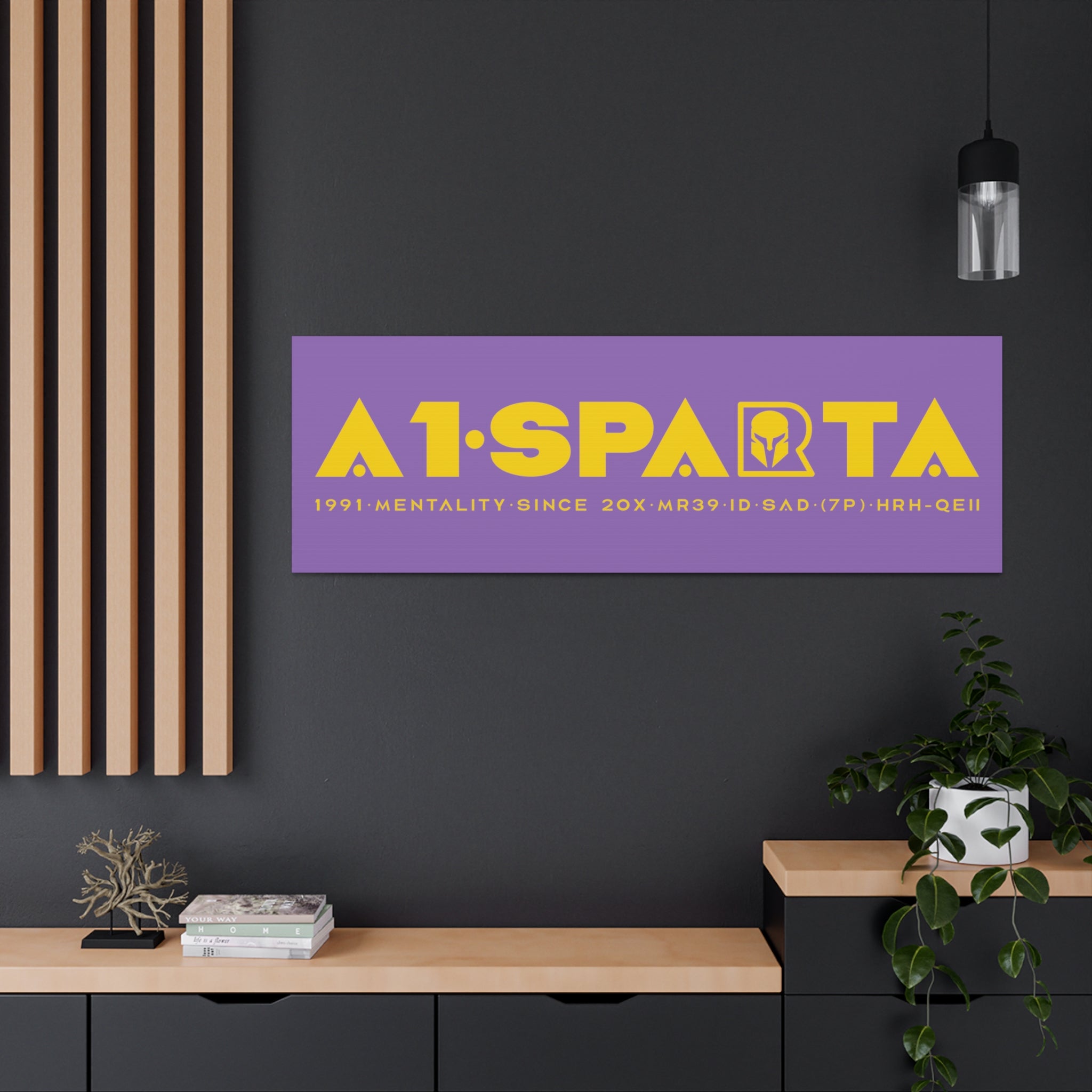 Canvas Gallery Wraps (A1•SPARTA RANGE)