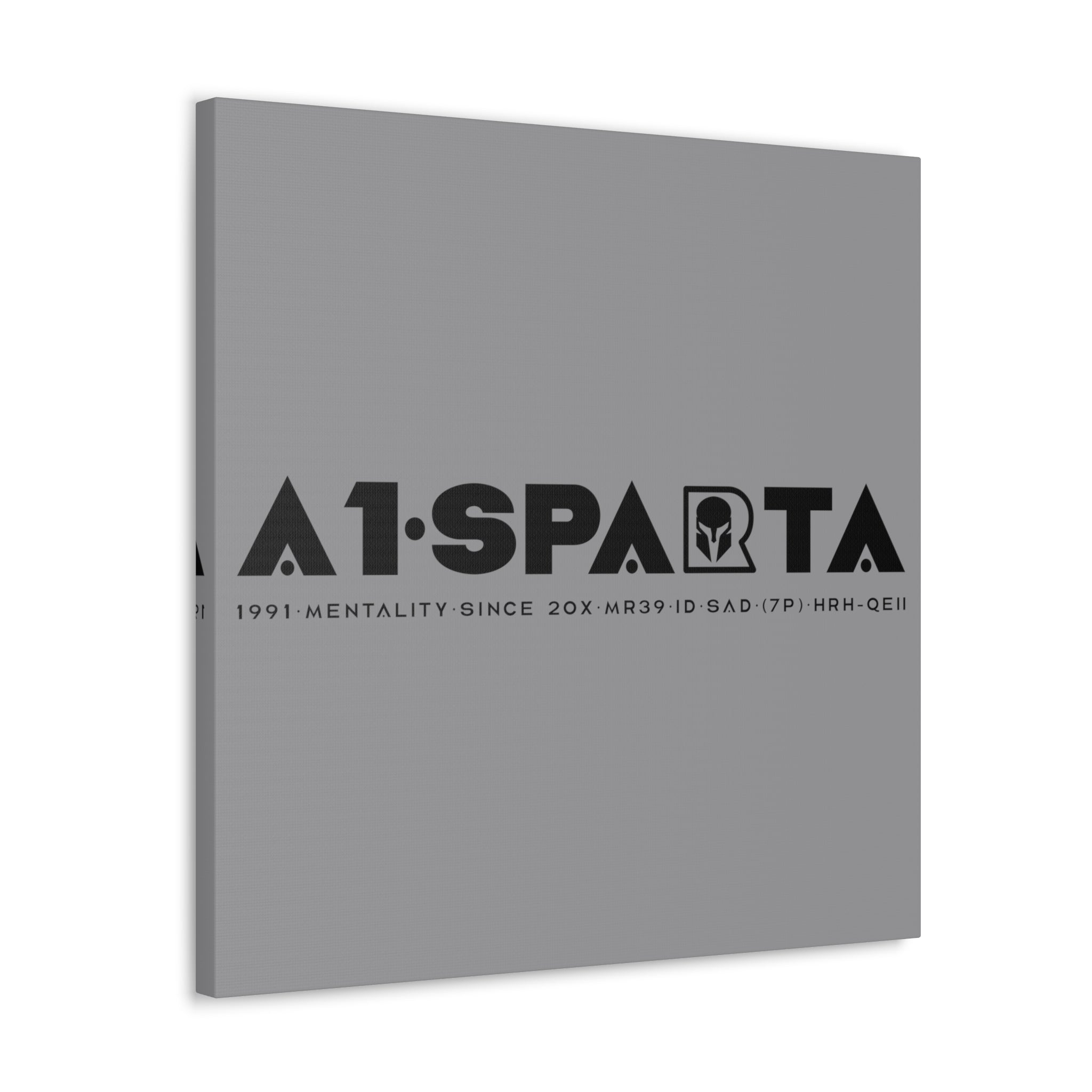 Canvas Gallery Wraps (A1•SPARTA RANGE)