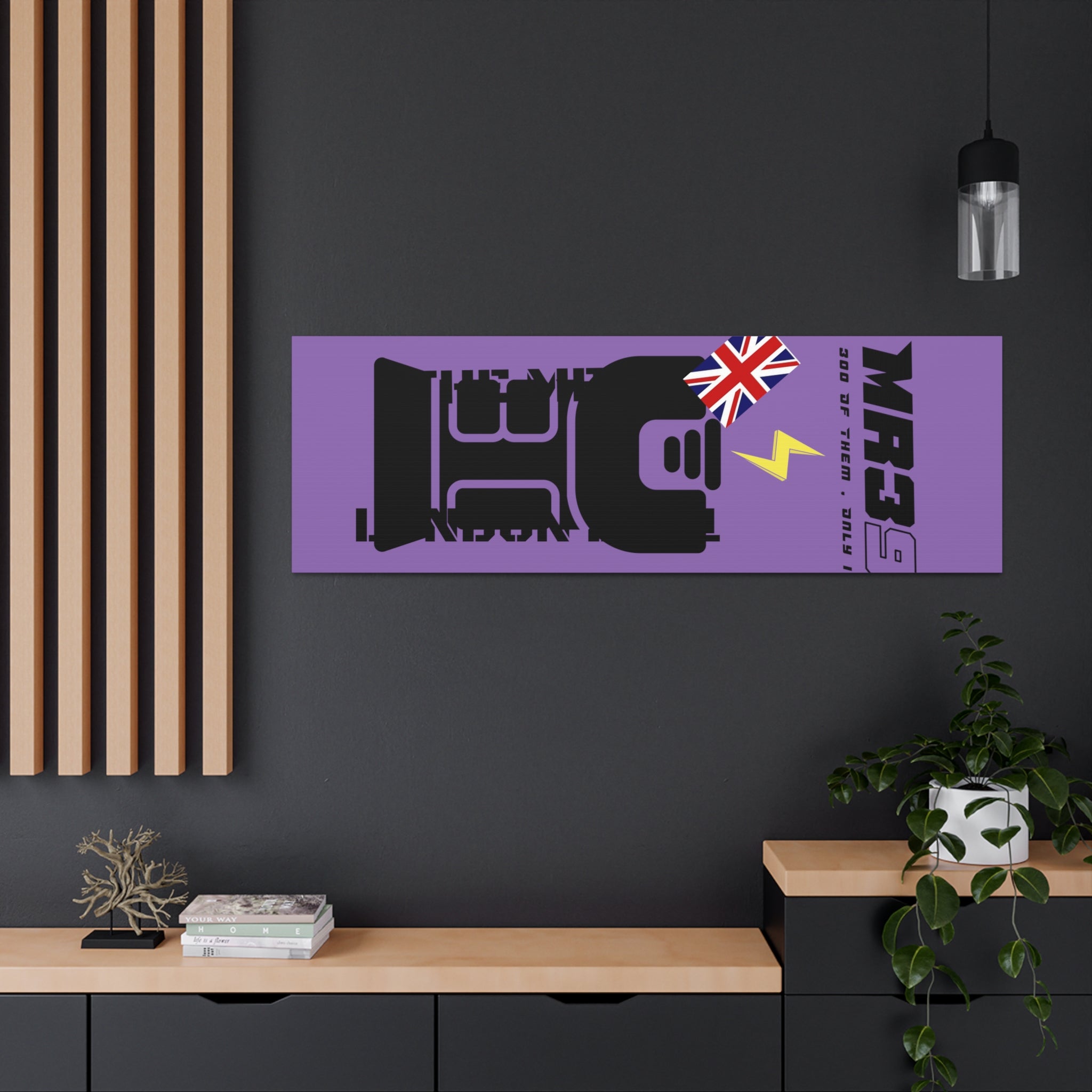 Copy of Canvas Gallery Wraps MR 39 Tasered by The MET 2021