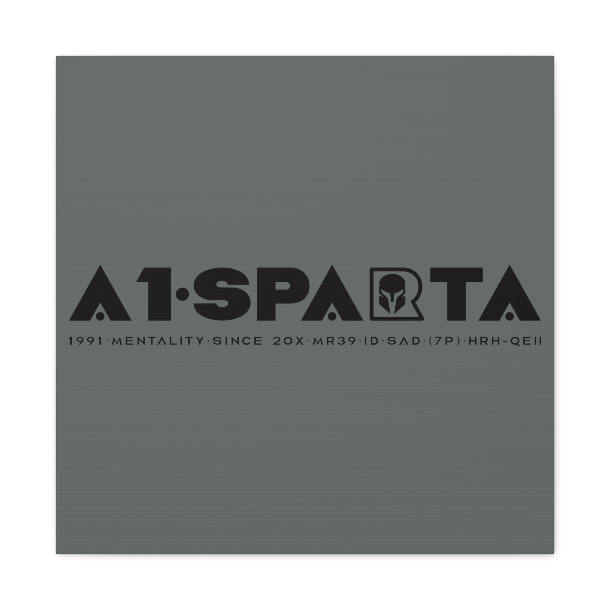 Canvas Gallery Wraps (A1•SPARTA RANGE)