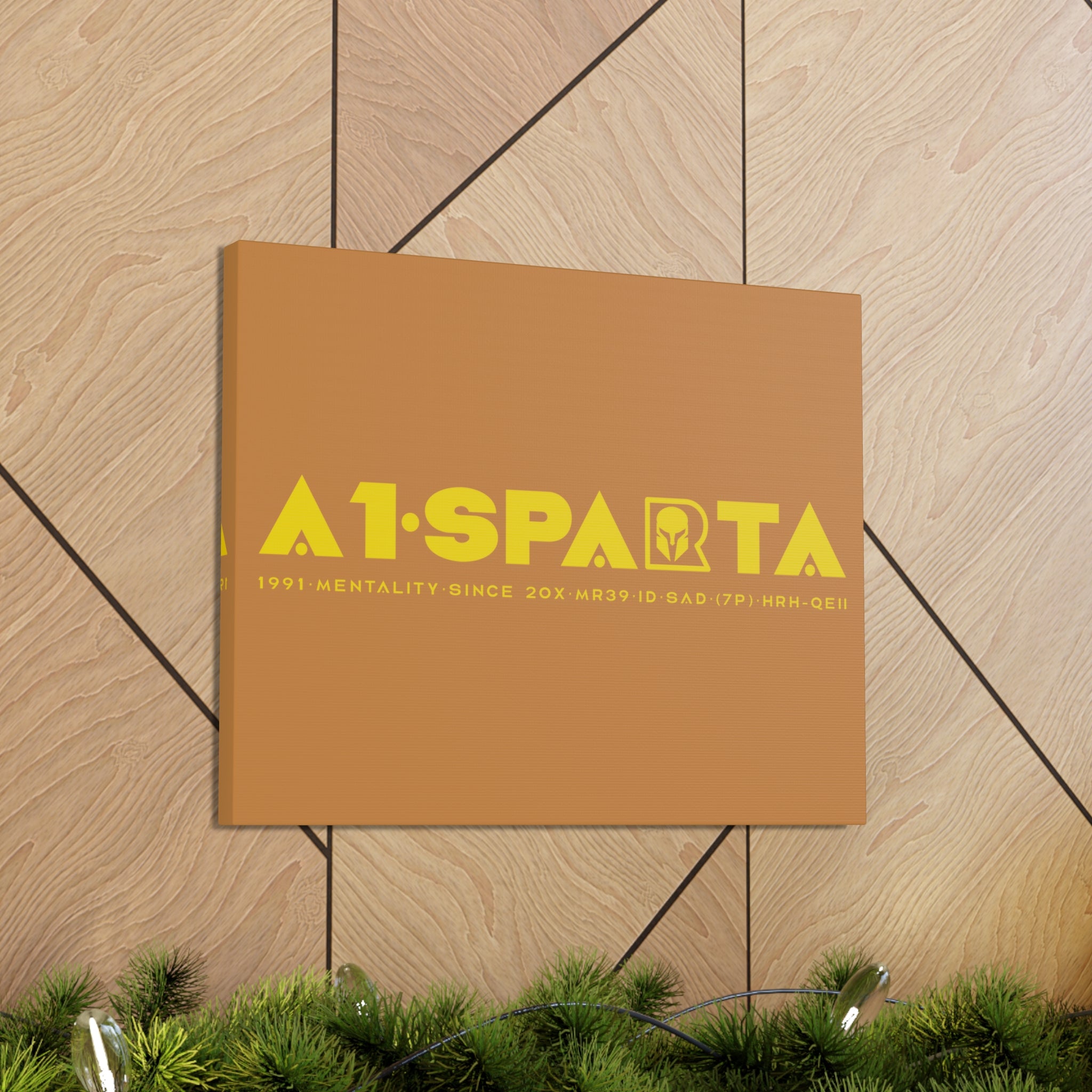 Canvas Gallery Wraps (A1•SPARTA RANGE)