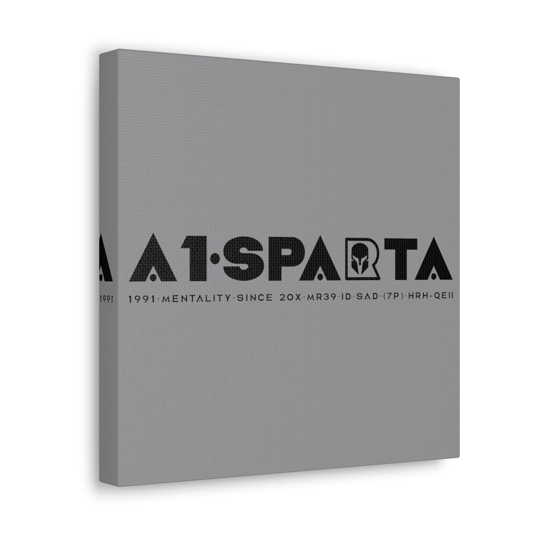 Canvas Gallery Wraps (A1•SPARTA RANGE)