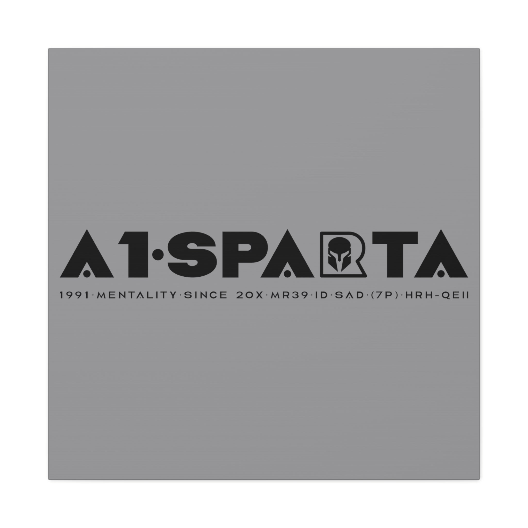 Canvas Gallery Wraps (A1•SPARTA RANGE)