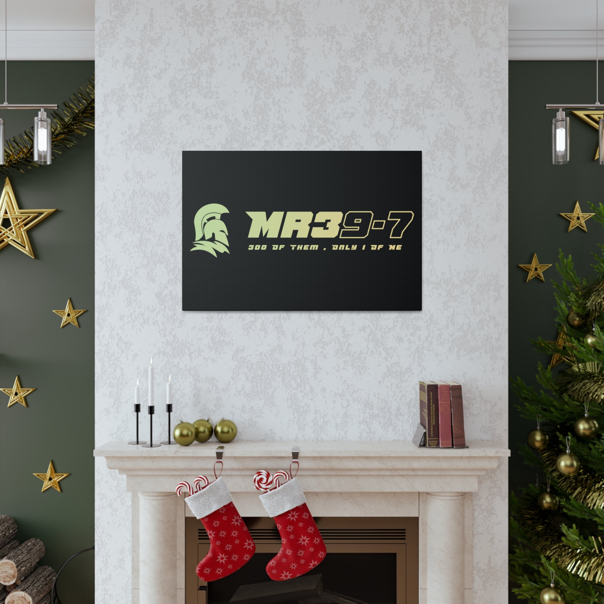 Canvas Gallery Wraps (A1•SPARTA RANGE)