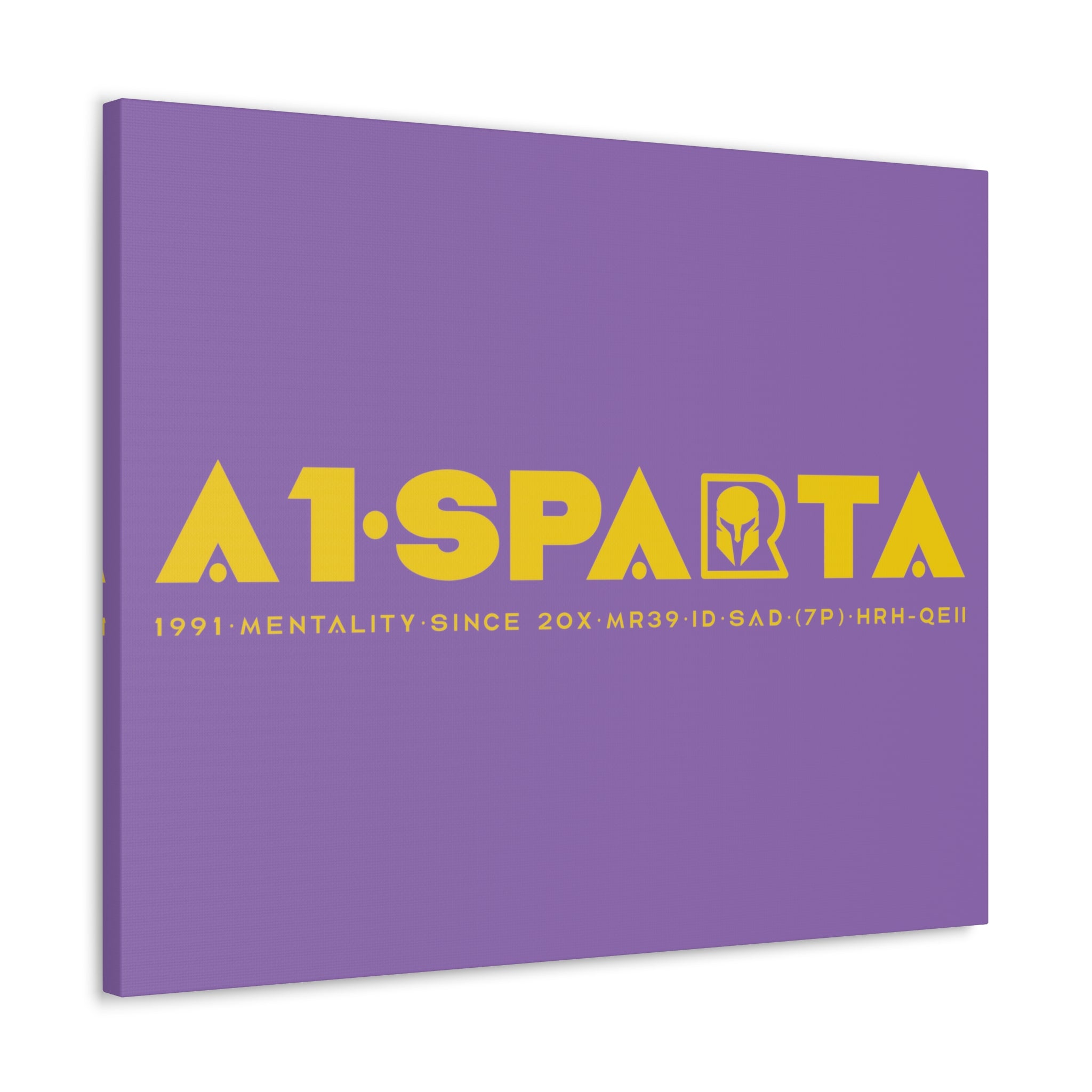 Canvas Gallery Wraps (A1•SPARTA RANGE)