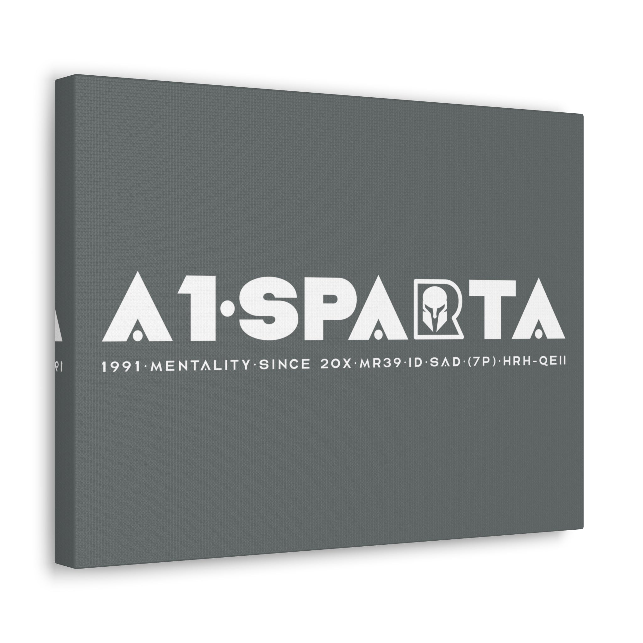 Canvas Gallery Wraps (A1•SPARTA RANGE)
