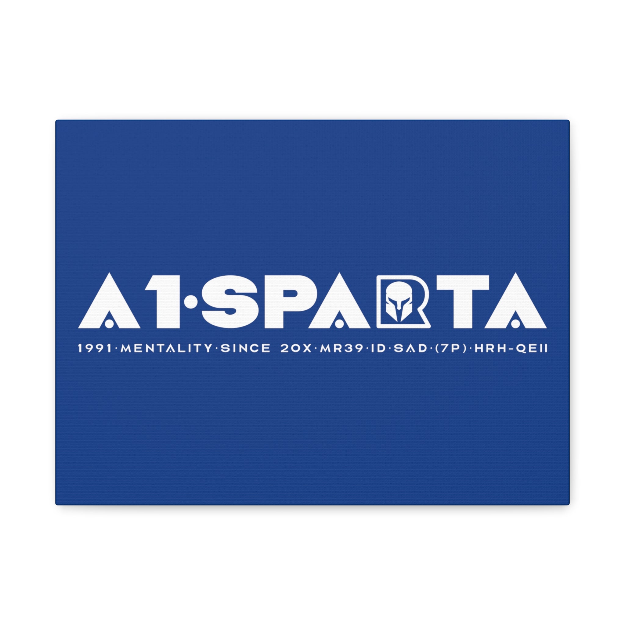 Canvas Gallery Wraps (A1•SPARTA RANGE)