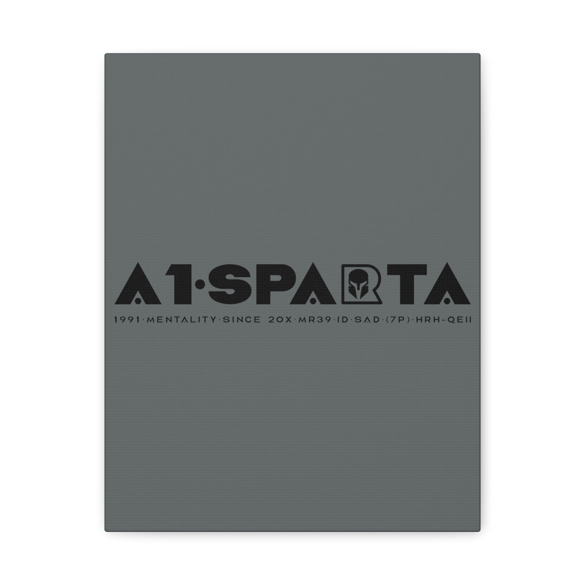 Canvas Gallery Wraps (A1•SPARTA RANGE)