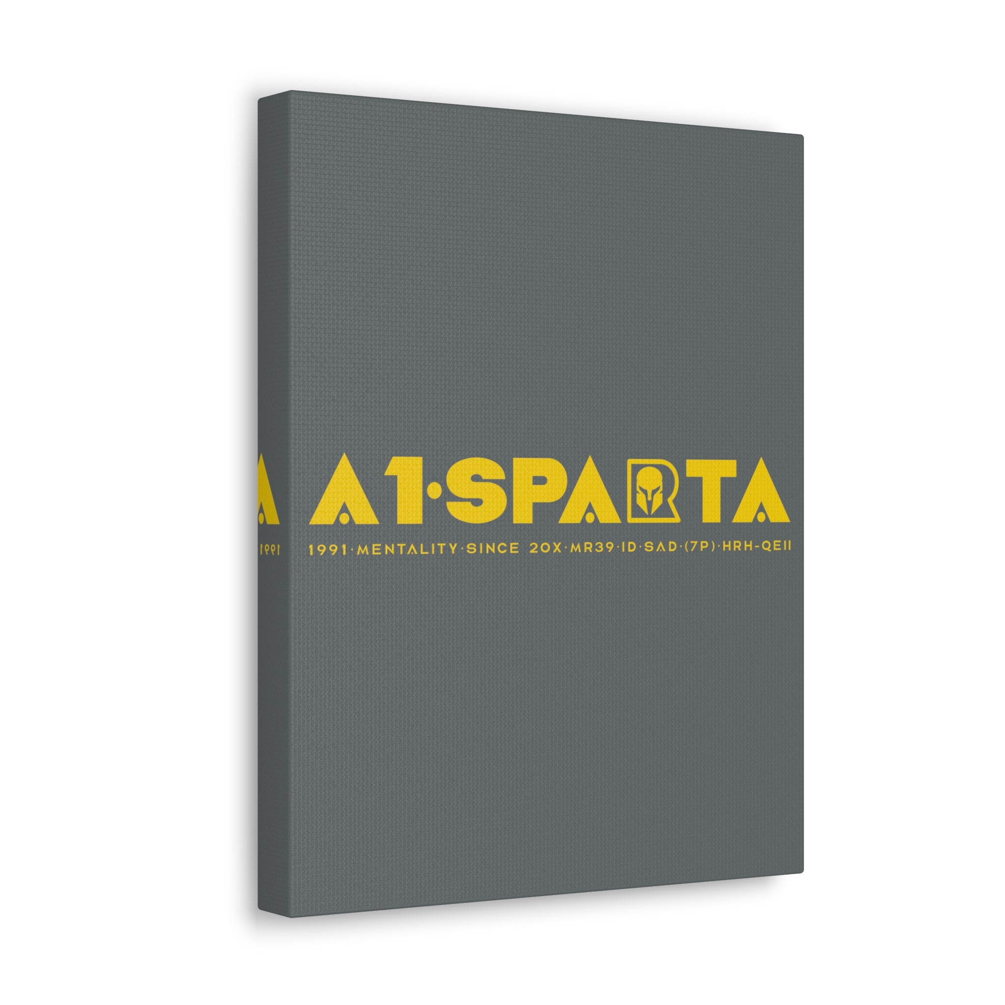 Canvas Gallery Wraps (A1•SPARTA RANGE)