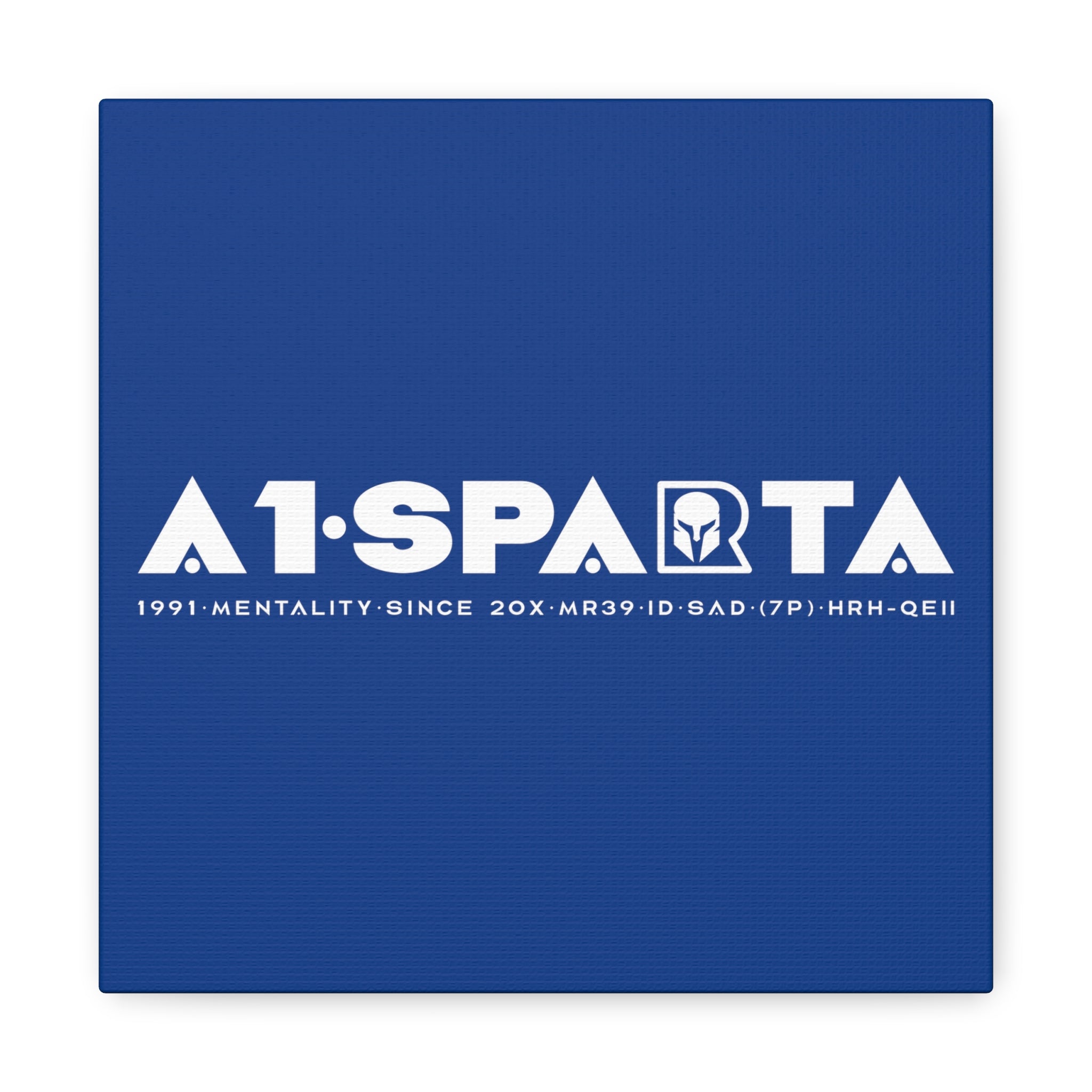 Canvas Gallery Wraps (A1•SPARTA RANGE)