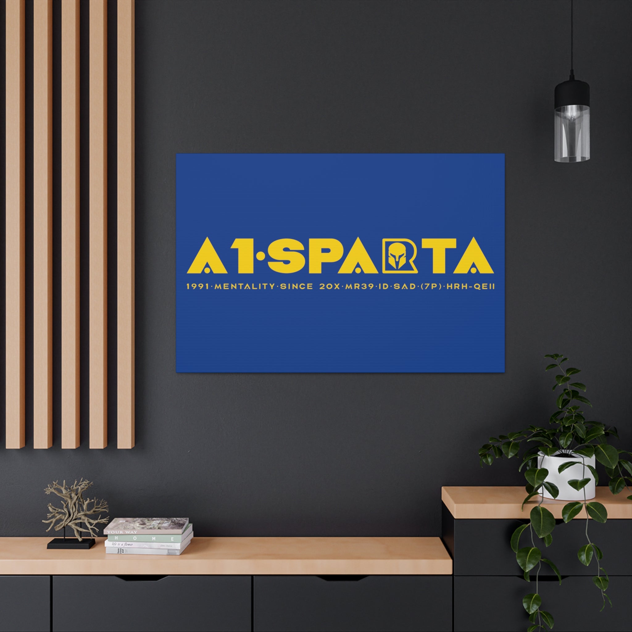 Canvas Gallery Wraps (A1•SPARTA RANGE)