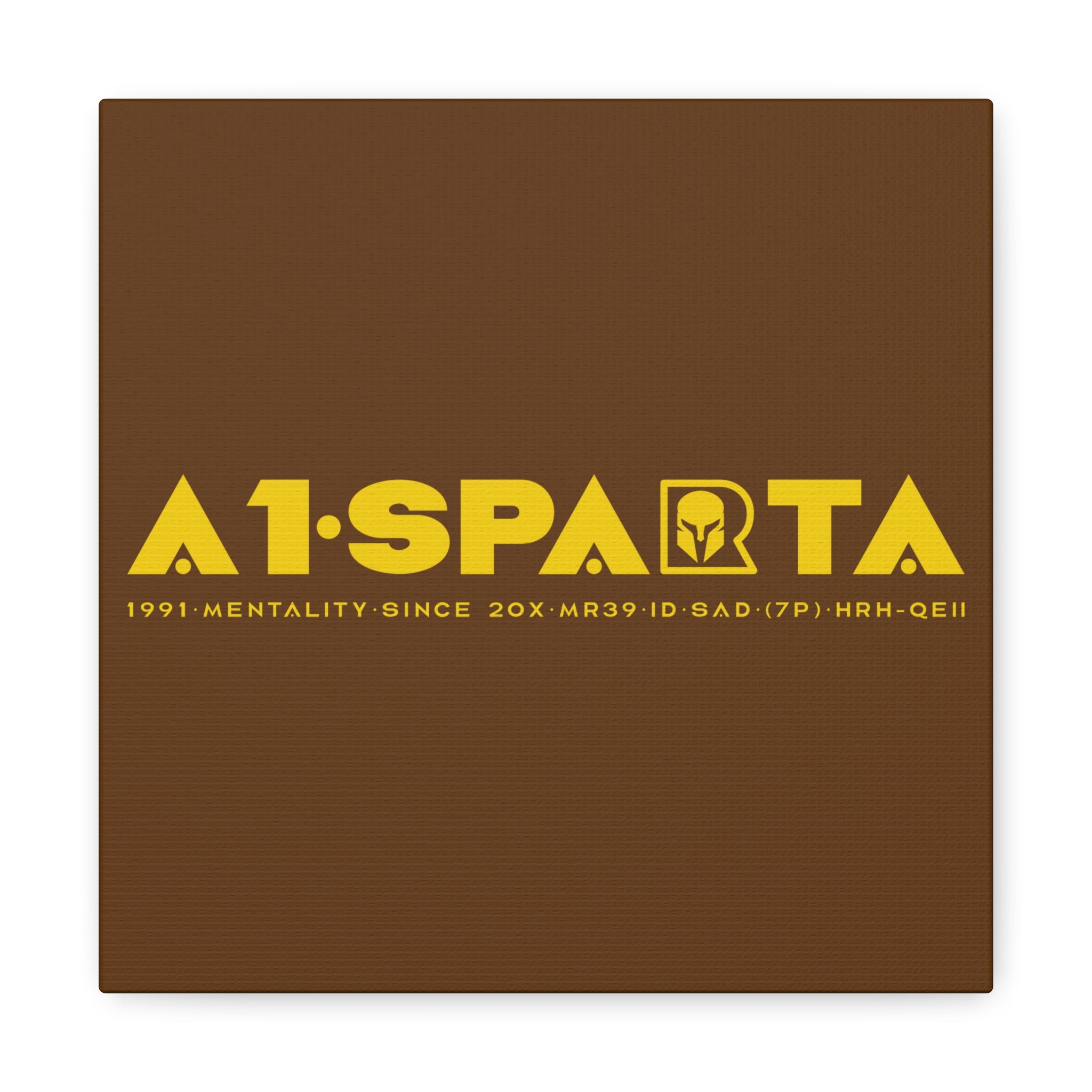 Canvas Gallery Wraps (A1•SPARTA RANGE)