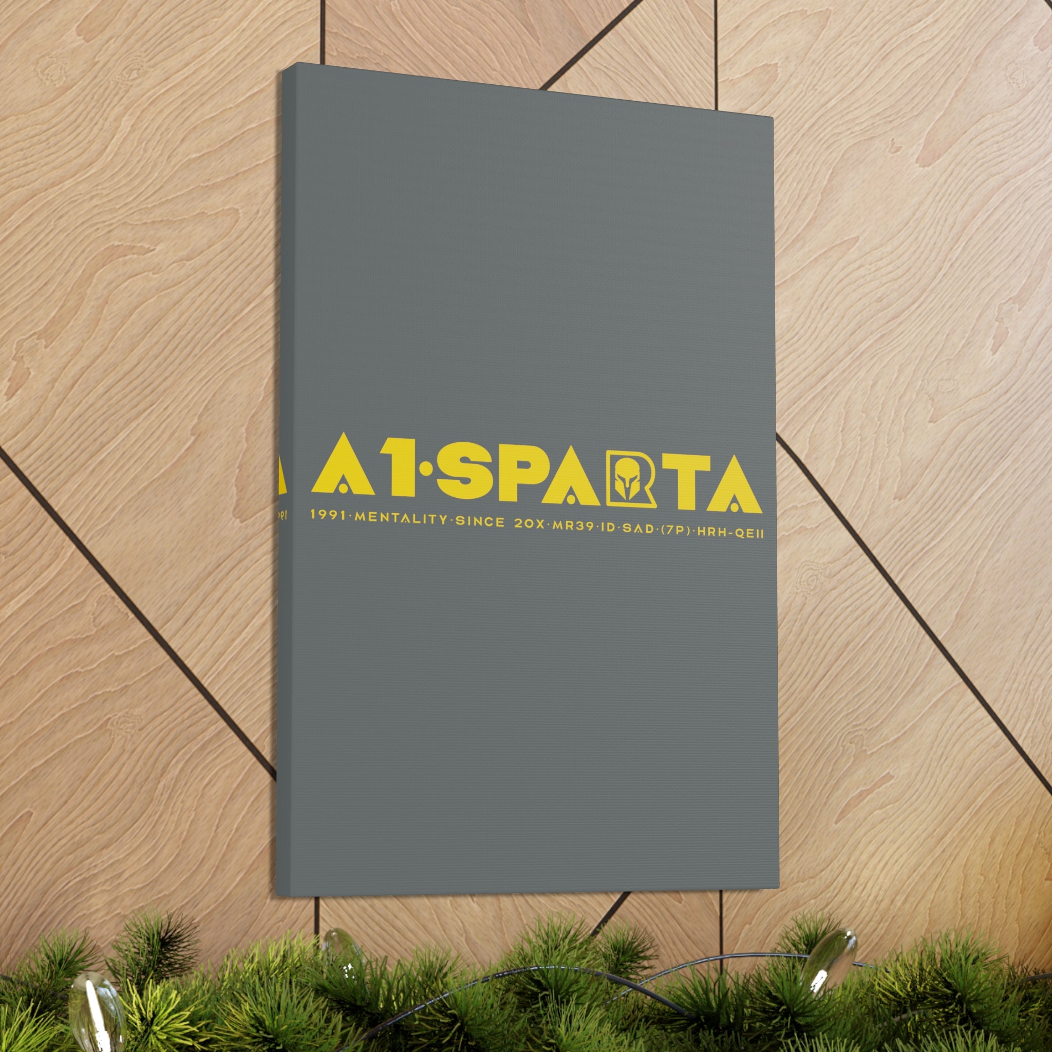 Canvas Gallery Wraps (A1•SPARTA RANGE)