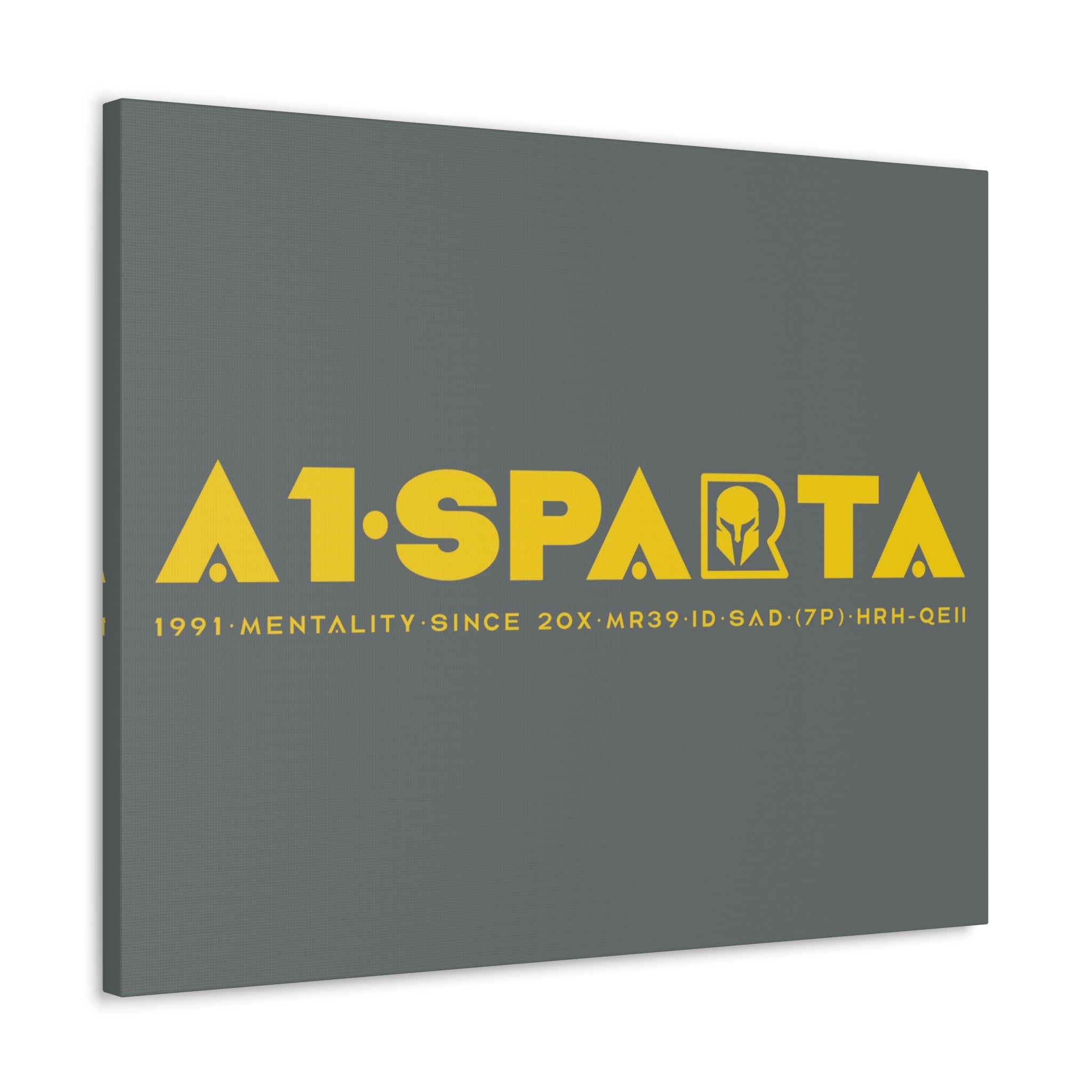 Canvas Gallery Wraps (A1•SPARTA RANGE)
