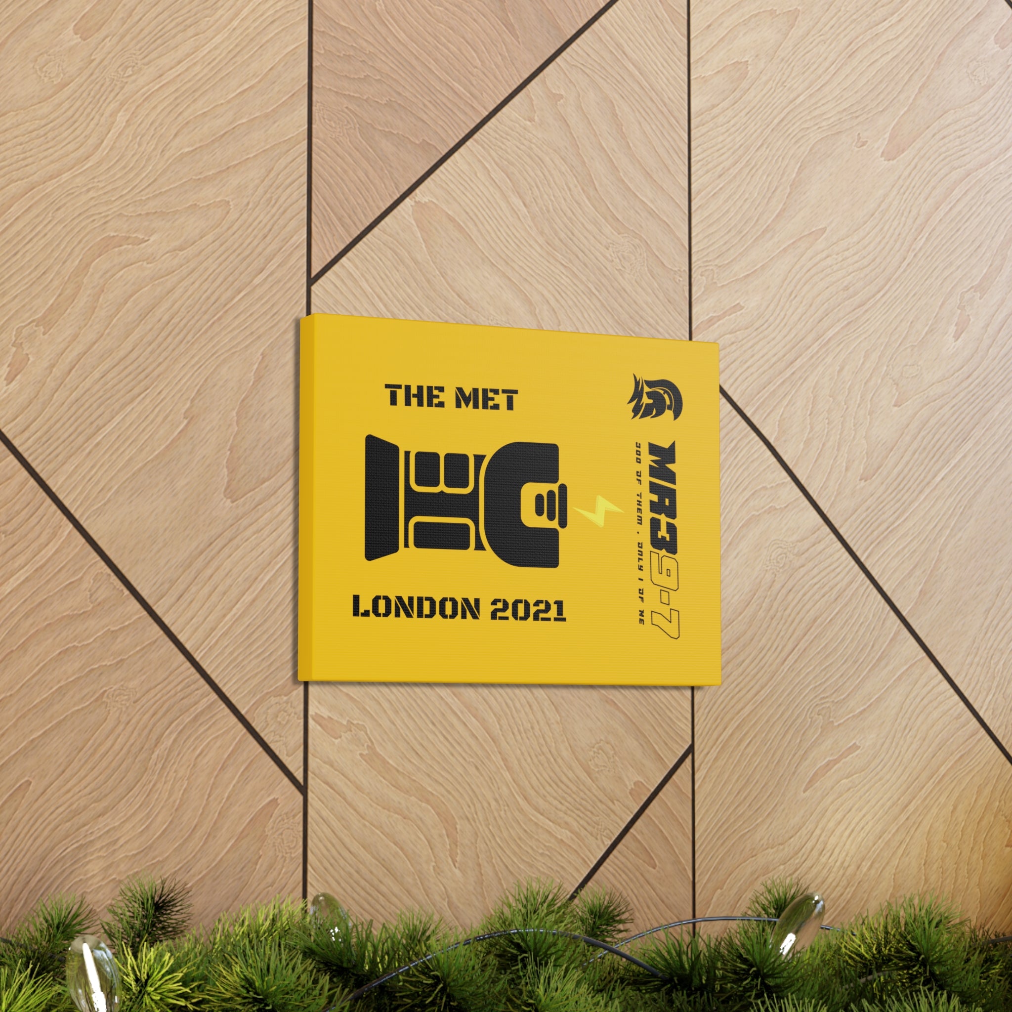 Canvas Gallery Wraps MR 39 Tasered by THe MET 2021