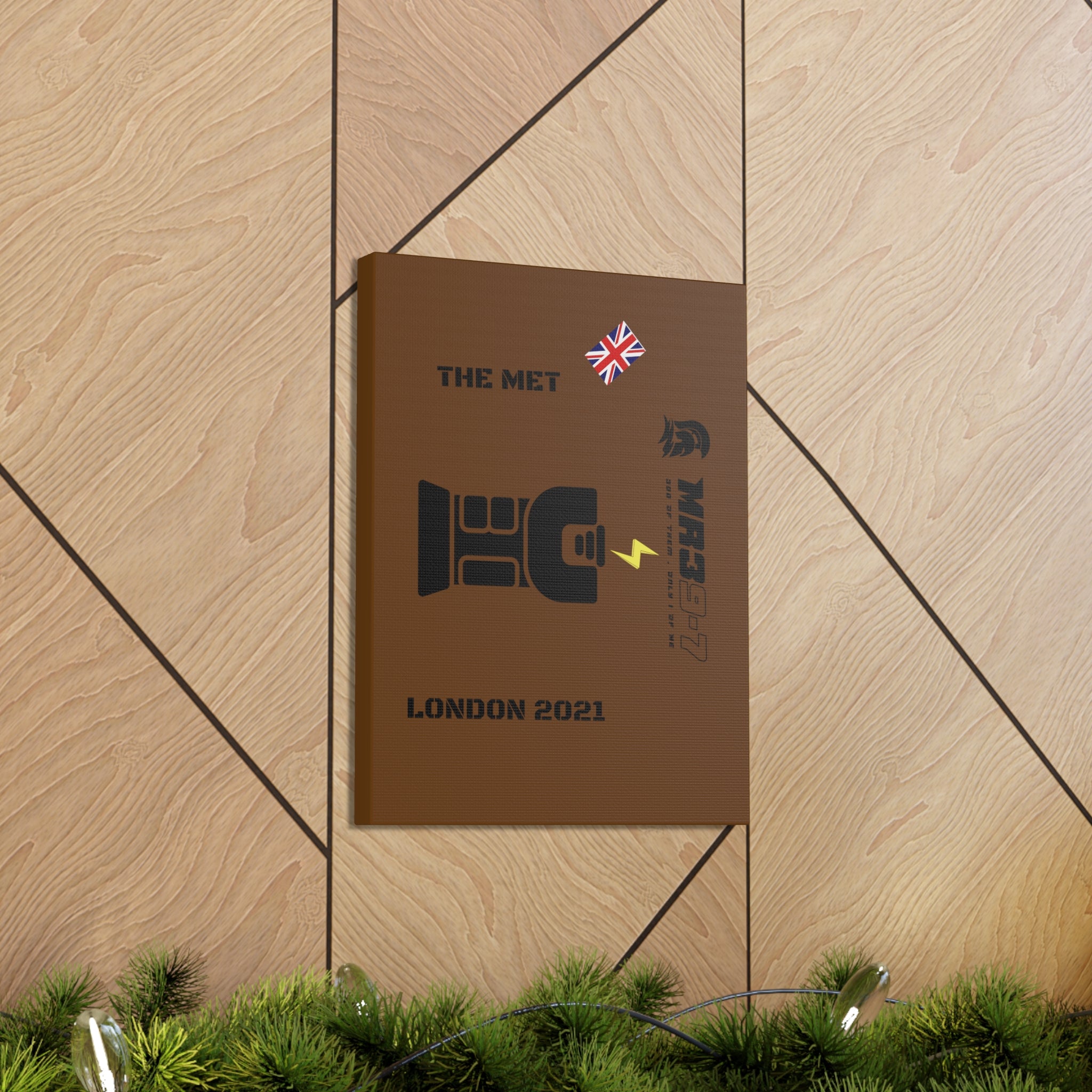 Canvas Gallery Wraps MR 39 Tasered by The MET 2021