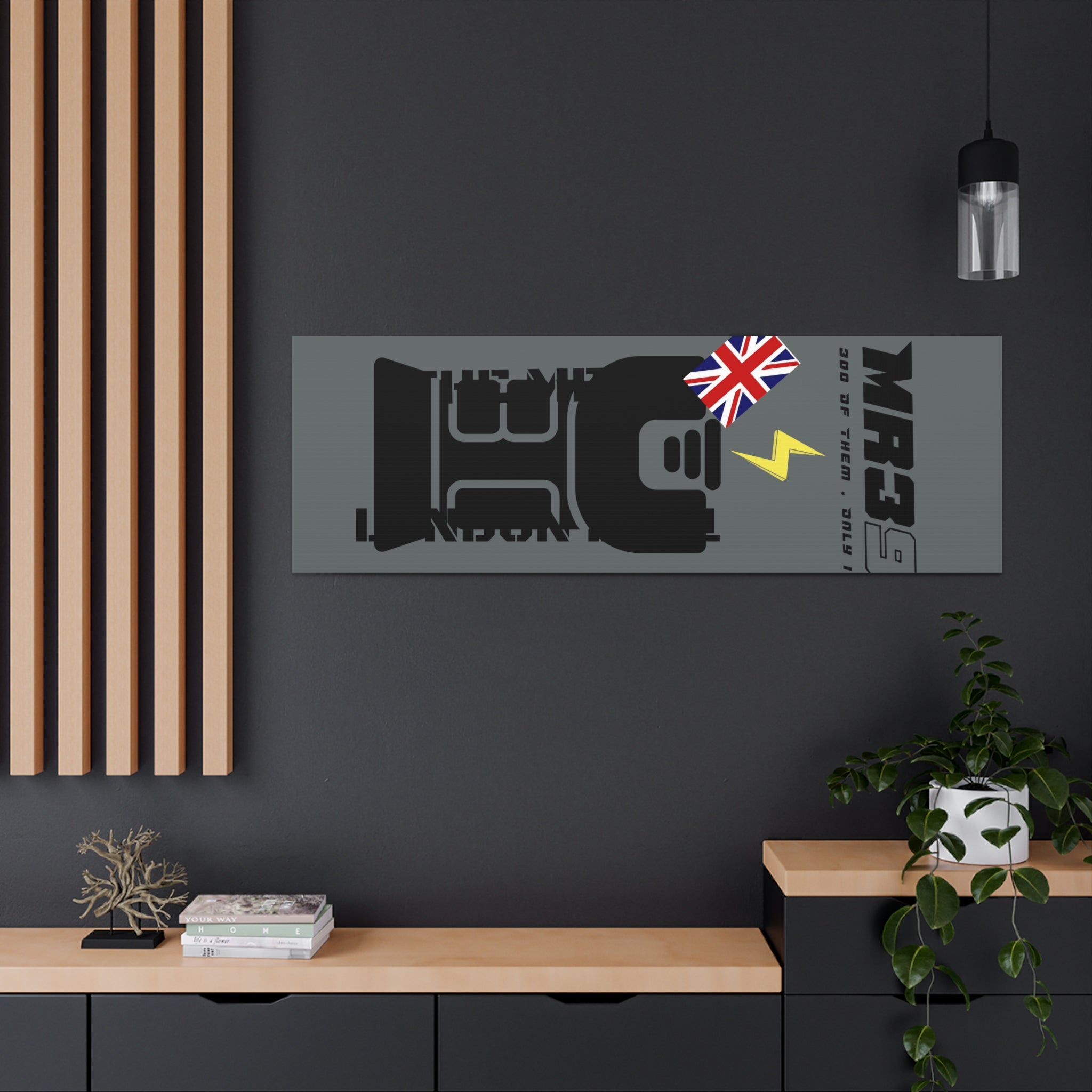 Canvas Gallery Wraps MR 39 Tasered by The MET 2021