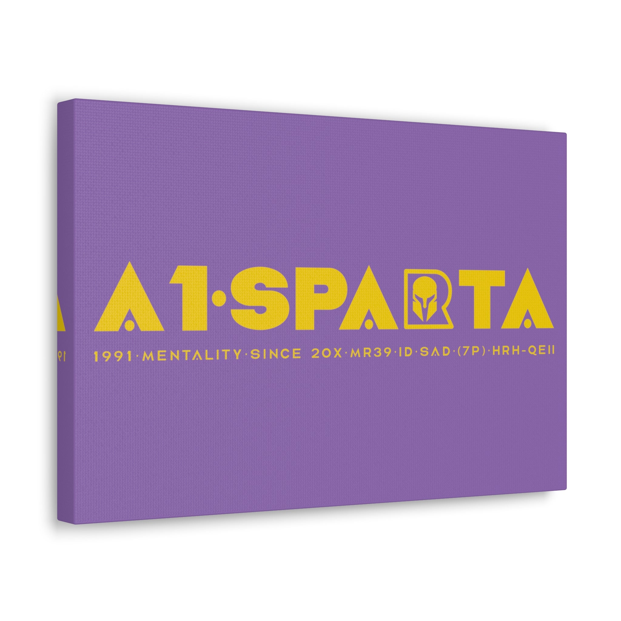 Canvas Gallery Wraps (A1•SPARTA RANGE)