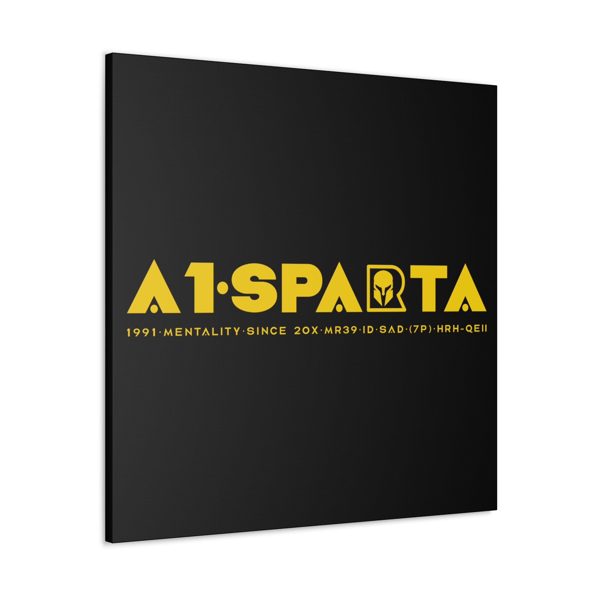 Canvas Gallery Wraps (A1•SPARTA RANGE)