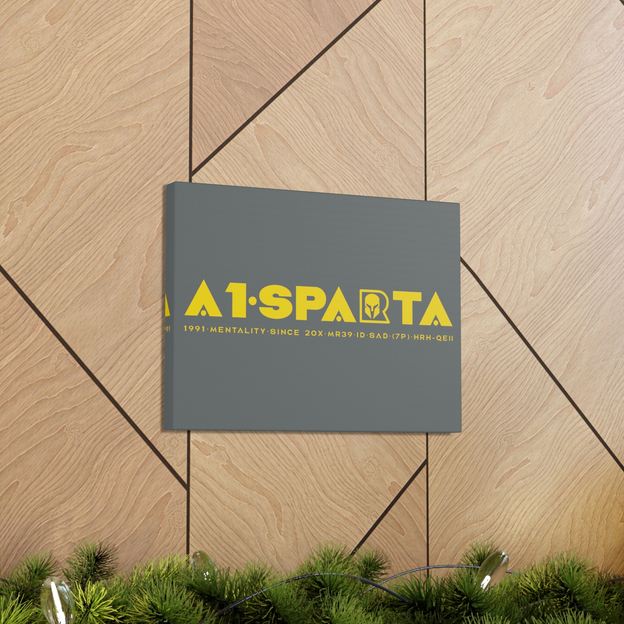 Canvas Gallery Wraps (A1•SPARTA RANGE)
